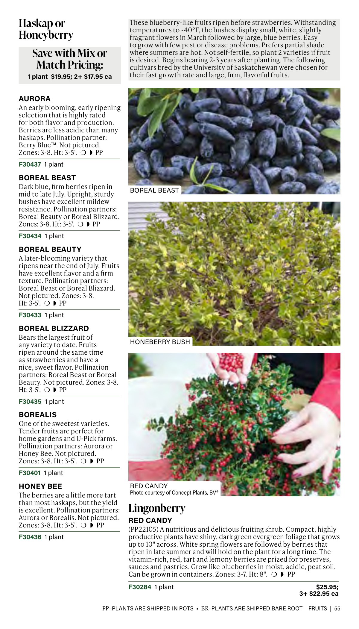Flyer page 55