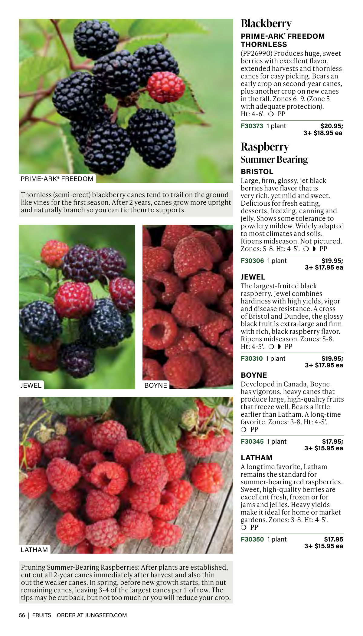 Flyer page 56