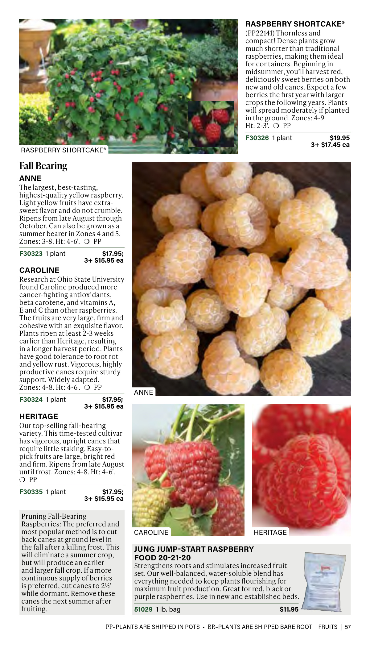 Flyer page 57