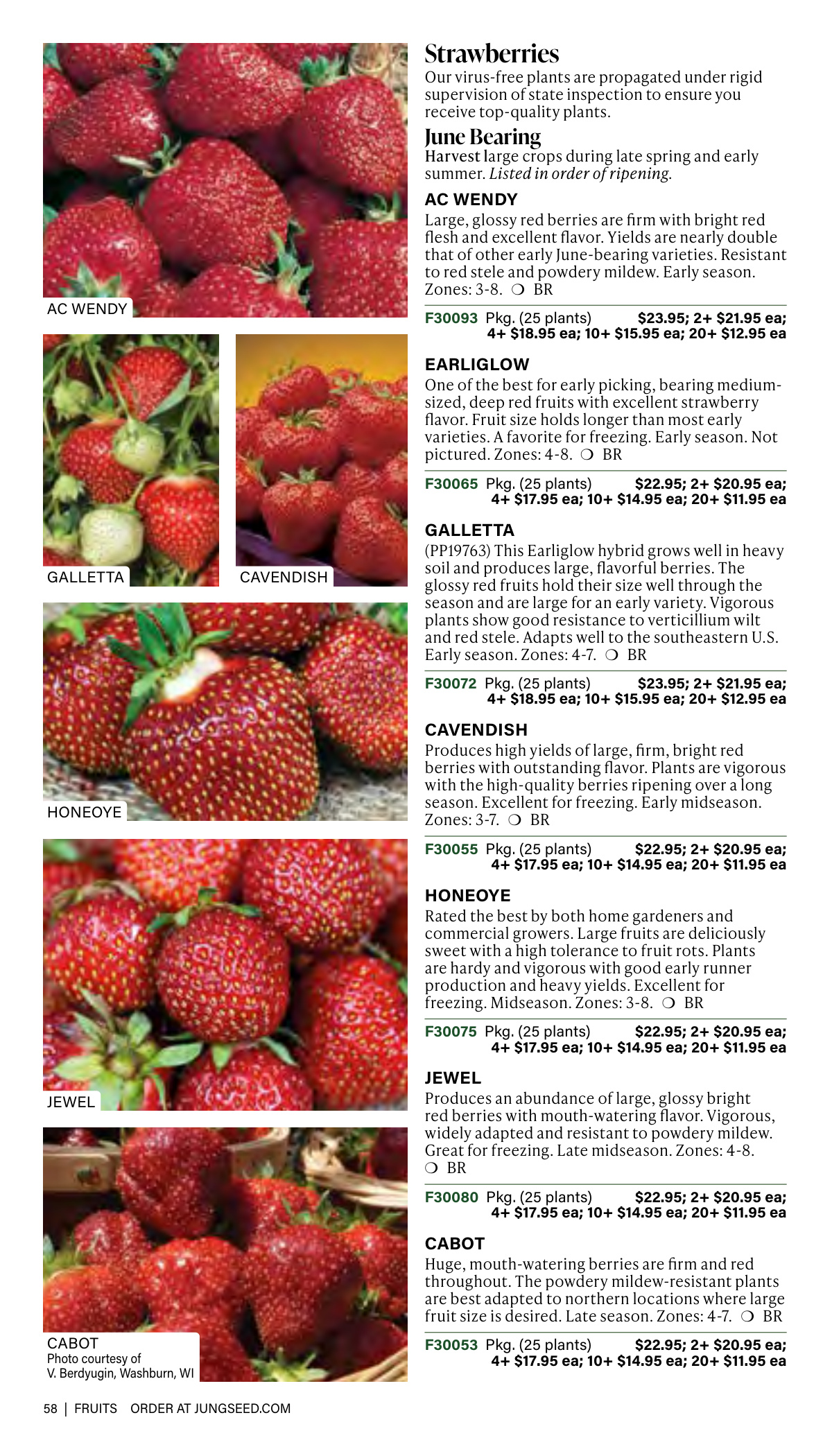 Flyer page 58