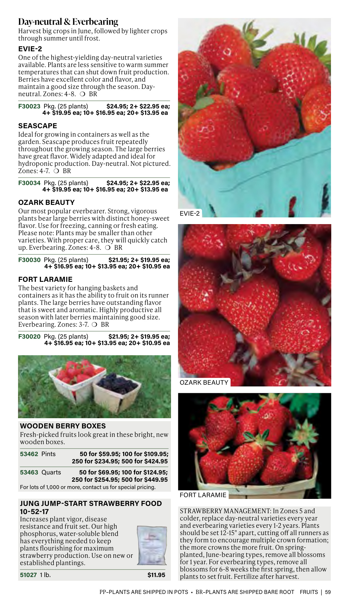 Flyer page 59