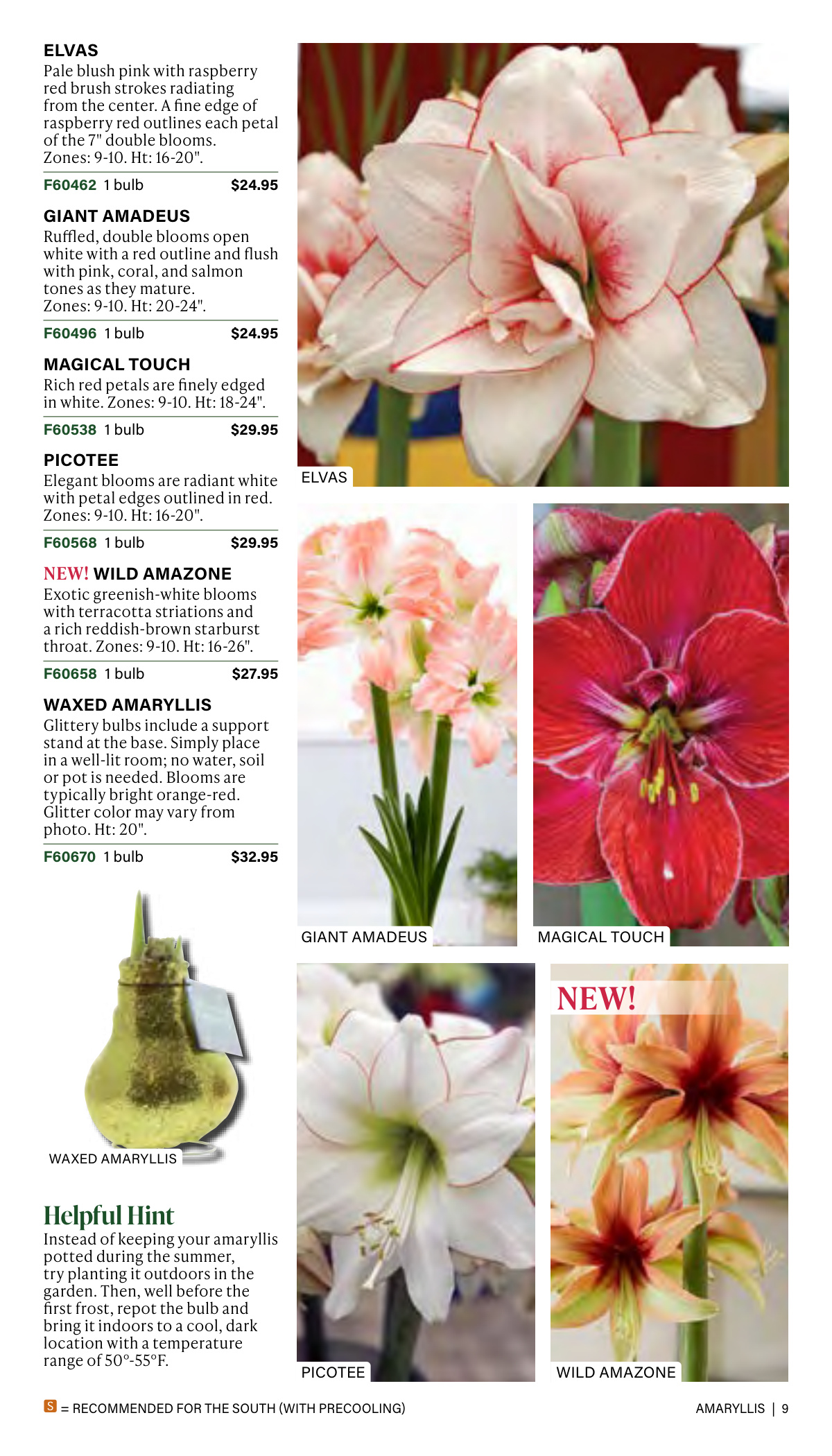 Flyer page 9