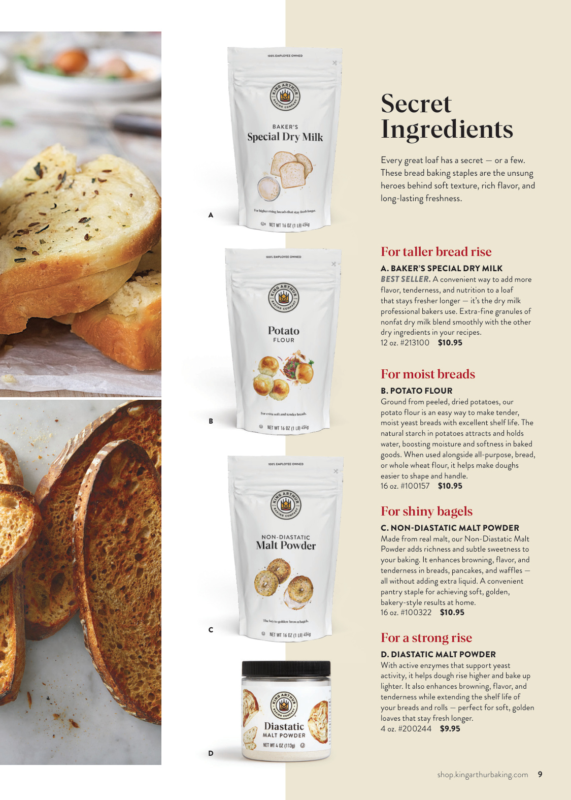 Flyer page 9