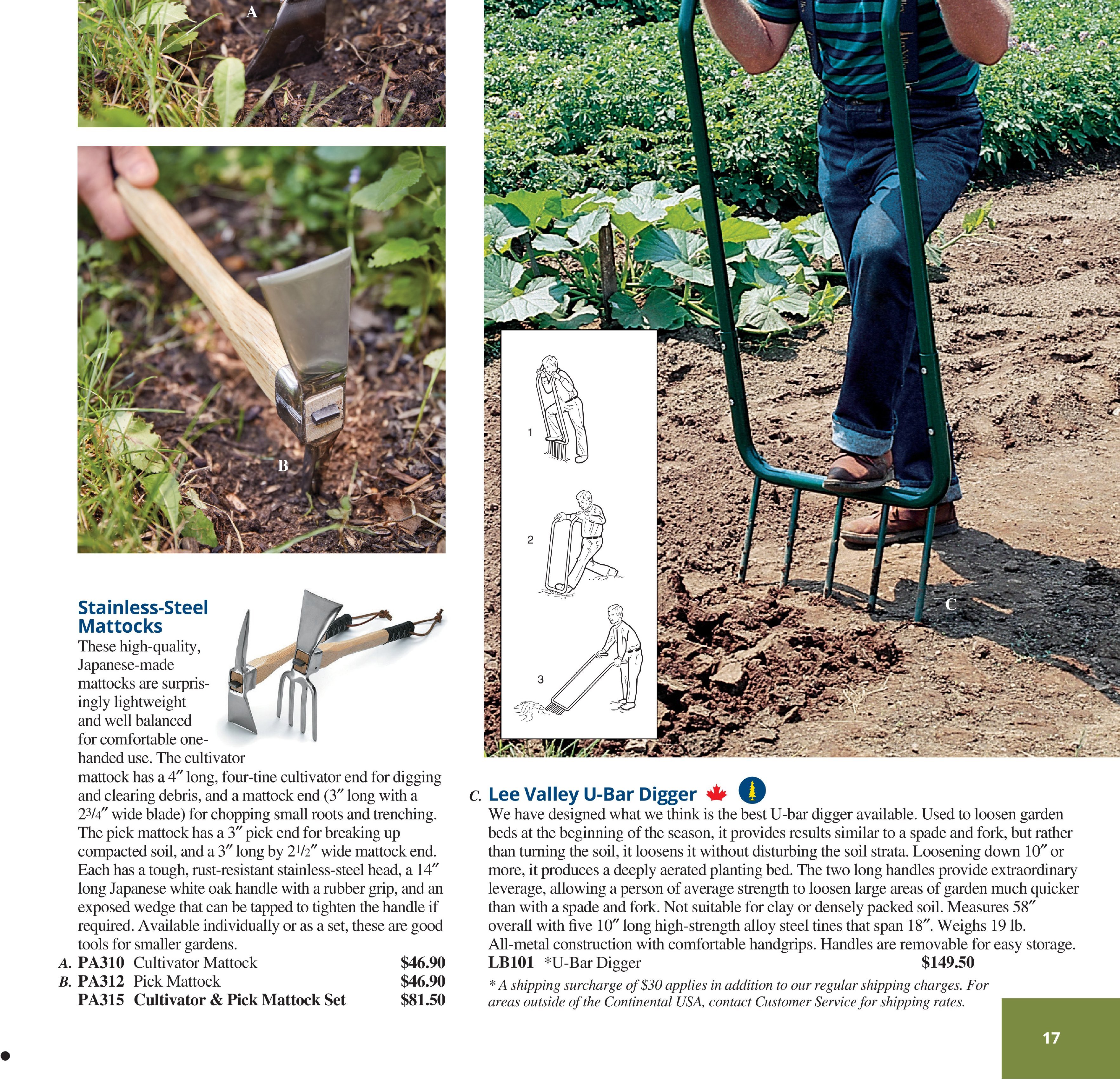 Flyer page 17