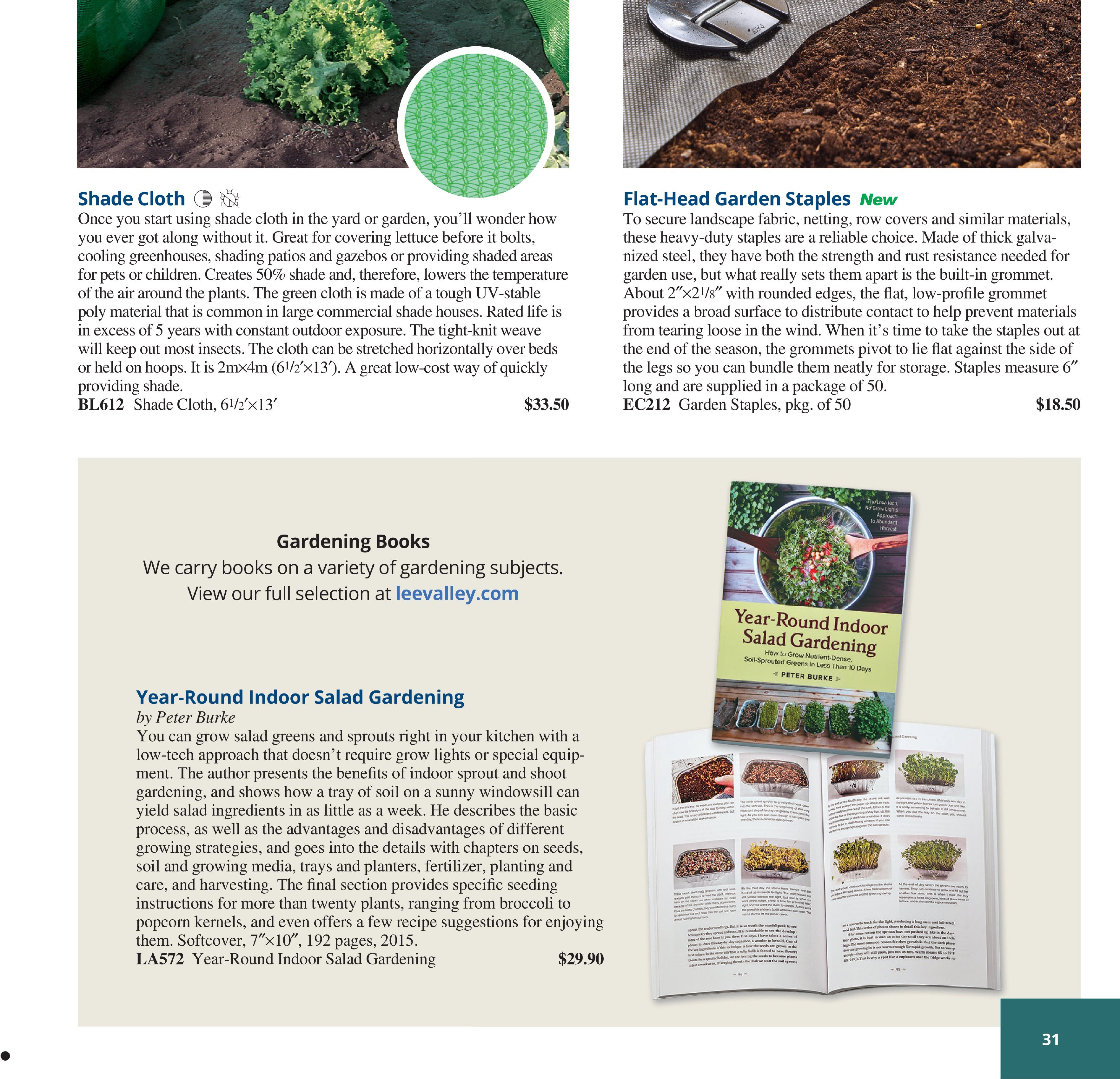 Flyer page 31