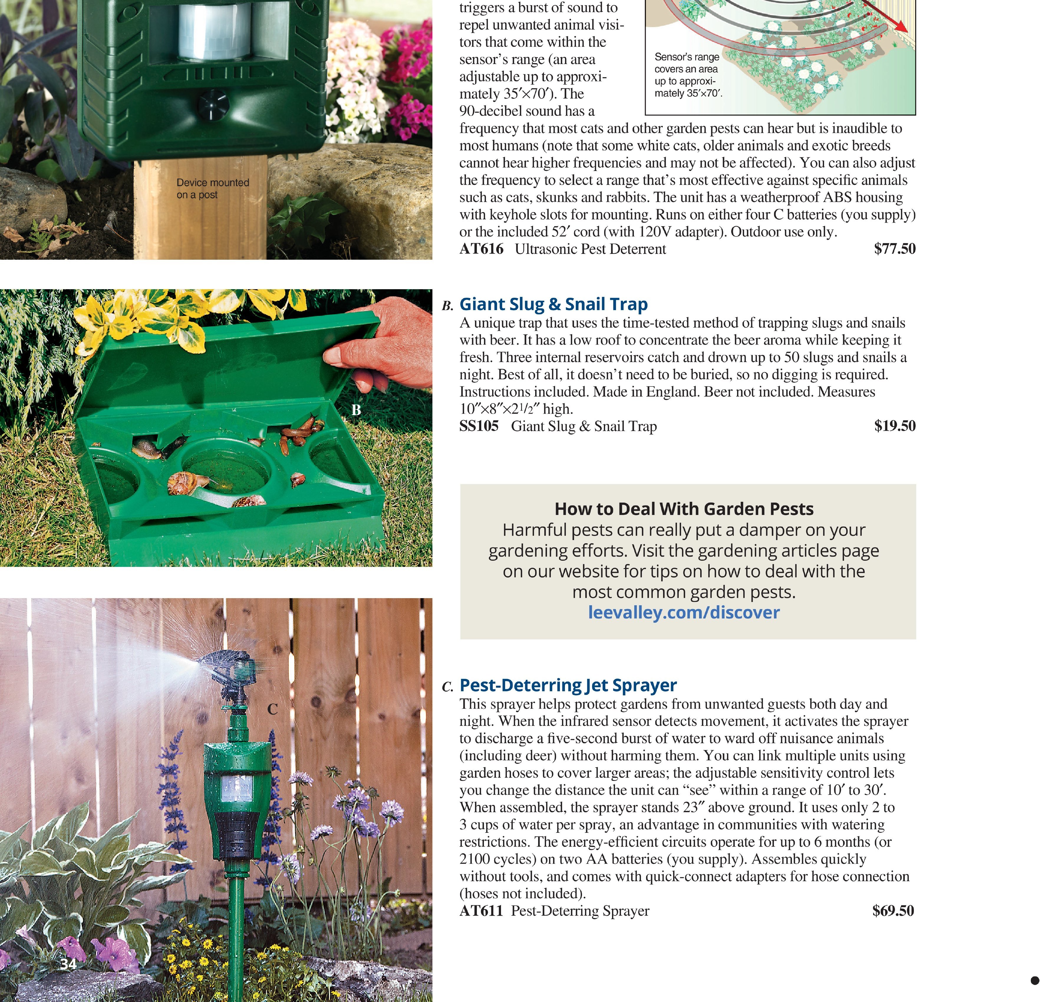 Flyer page 34
