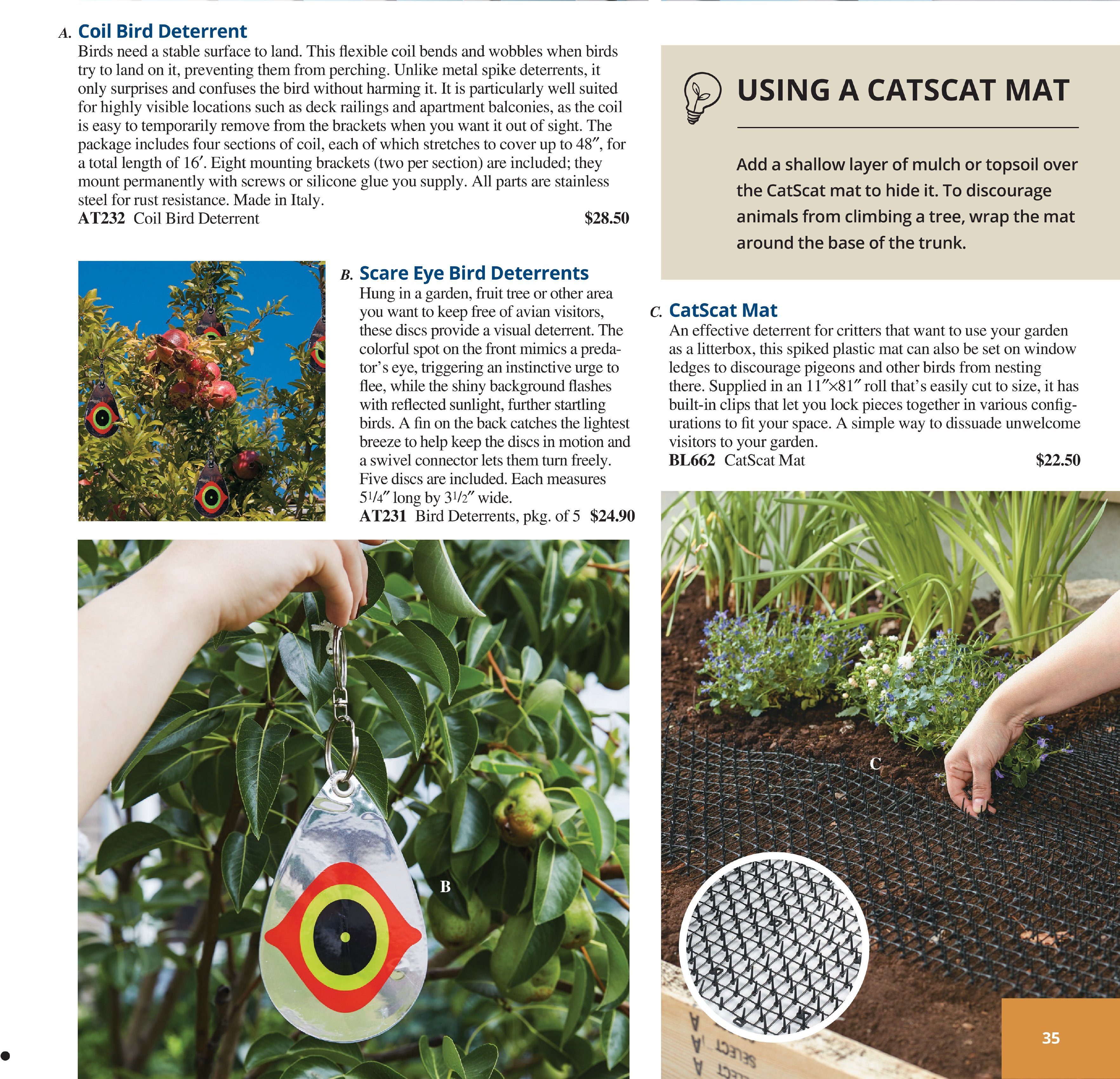 Flyer page 35