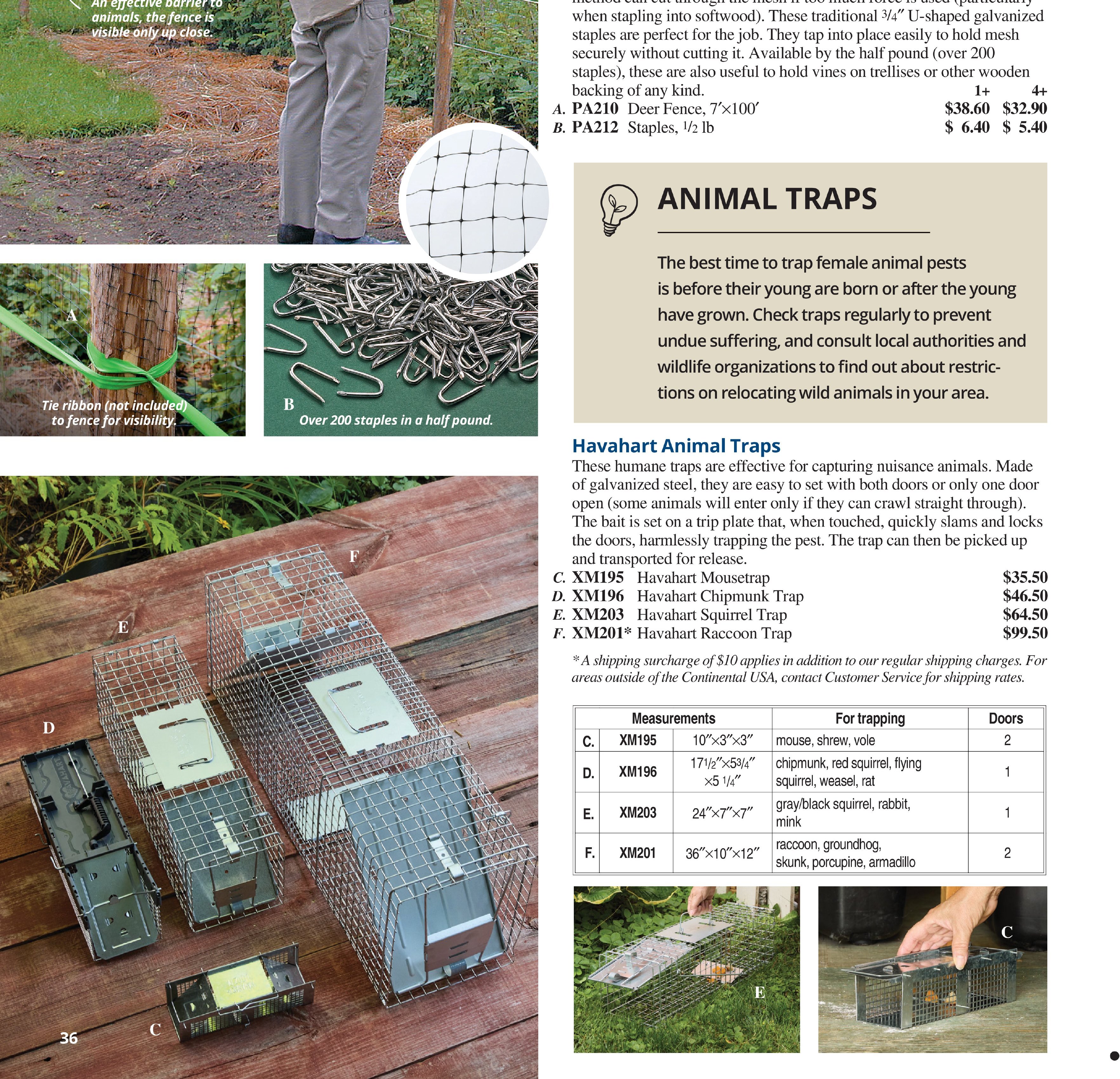 Flyer page 36