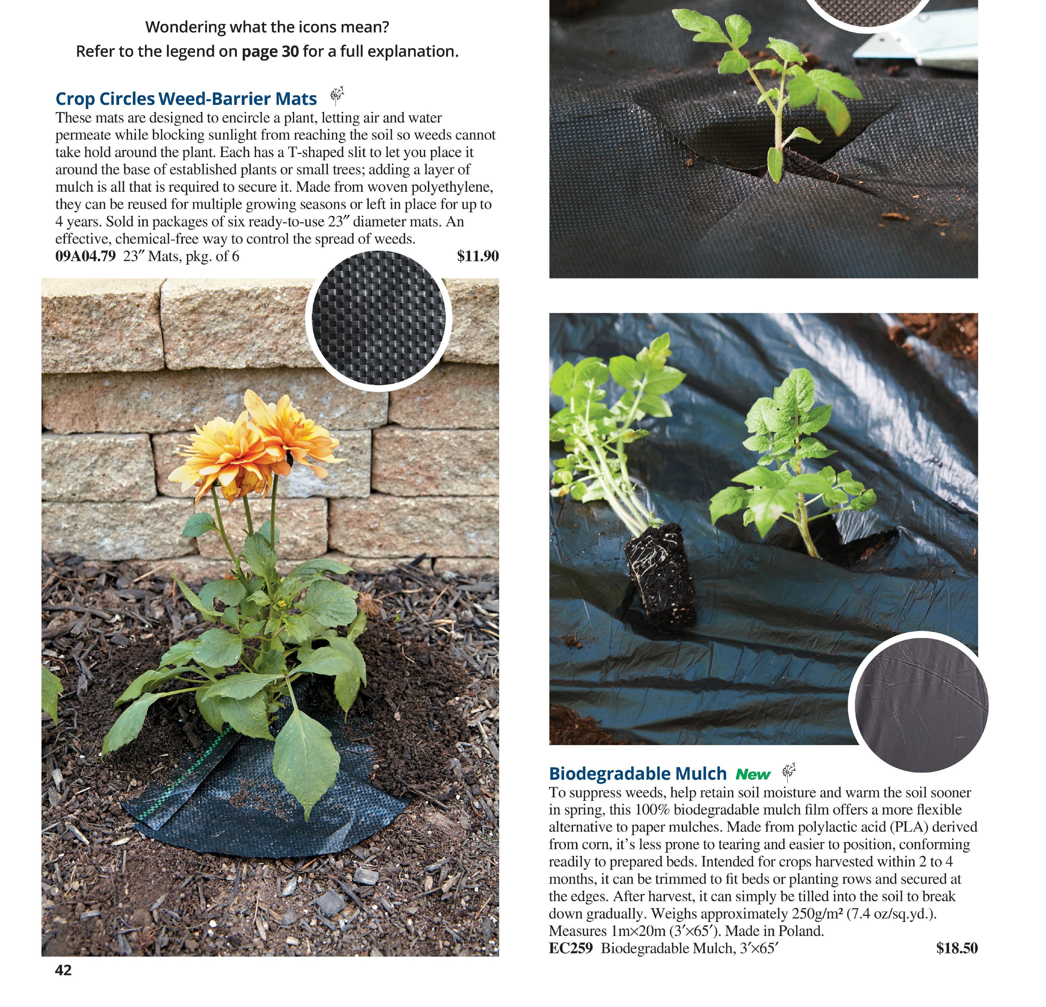 Flyer page 42