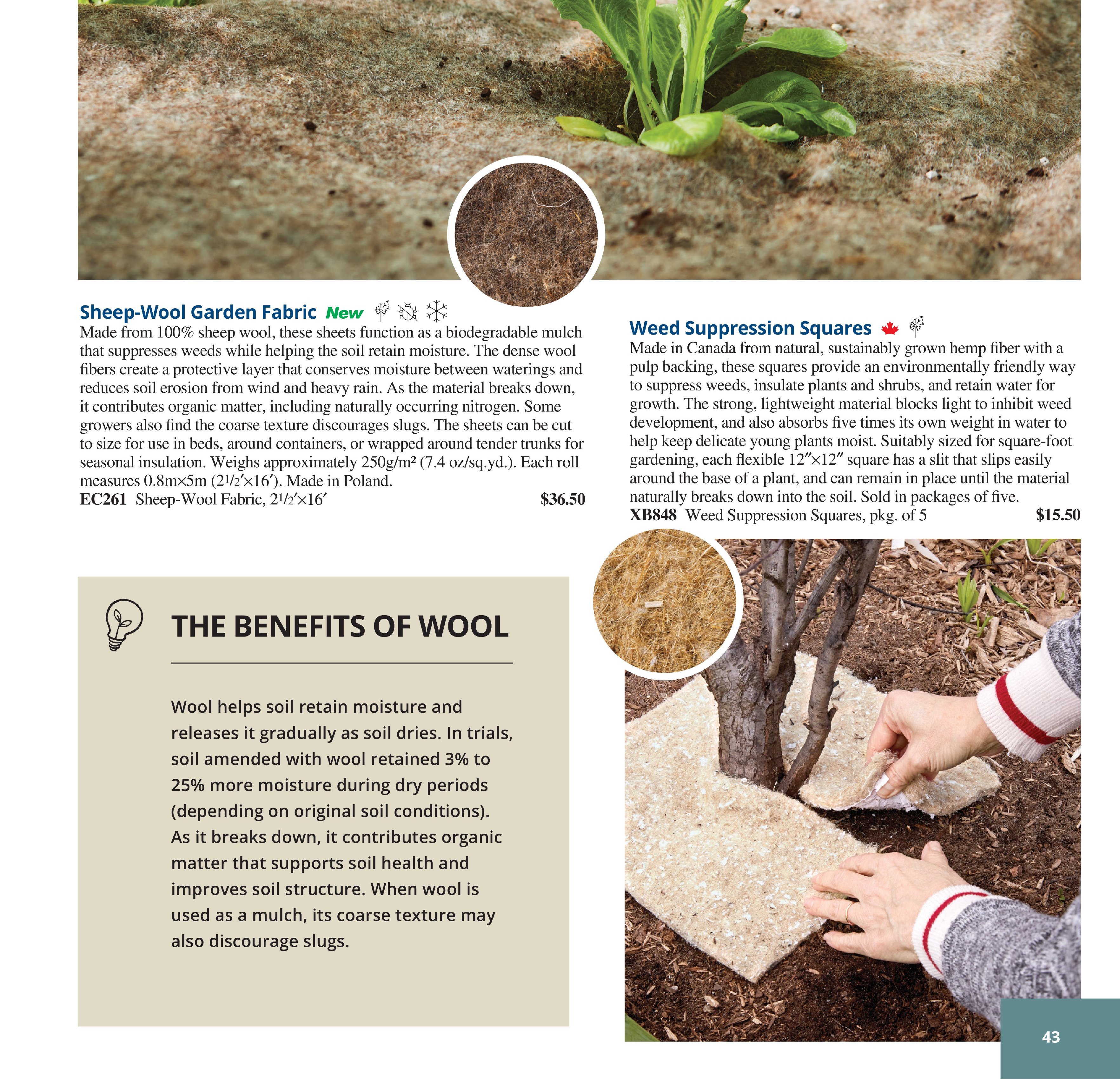 Flyer page 43