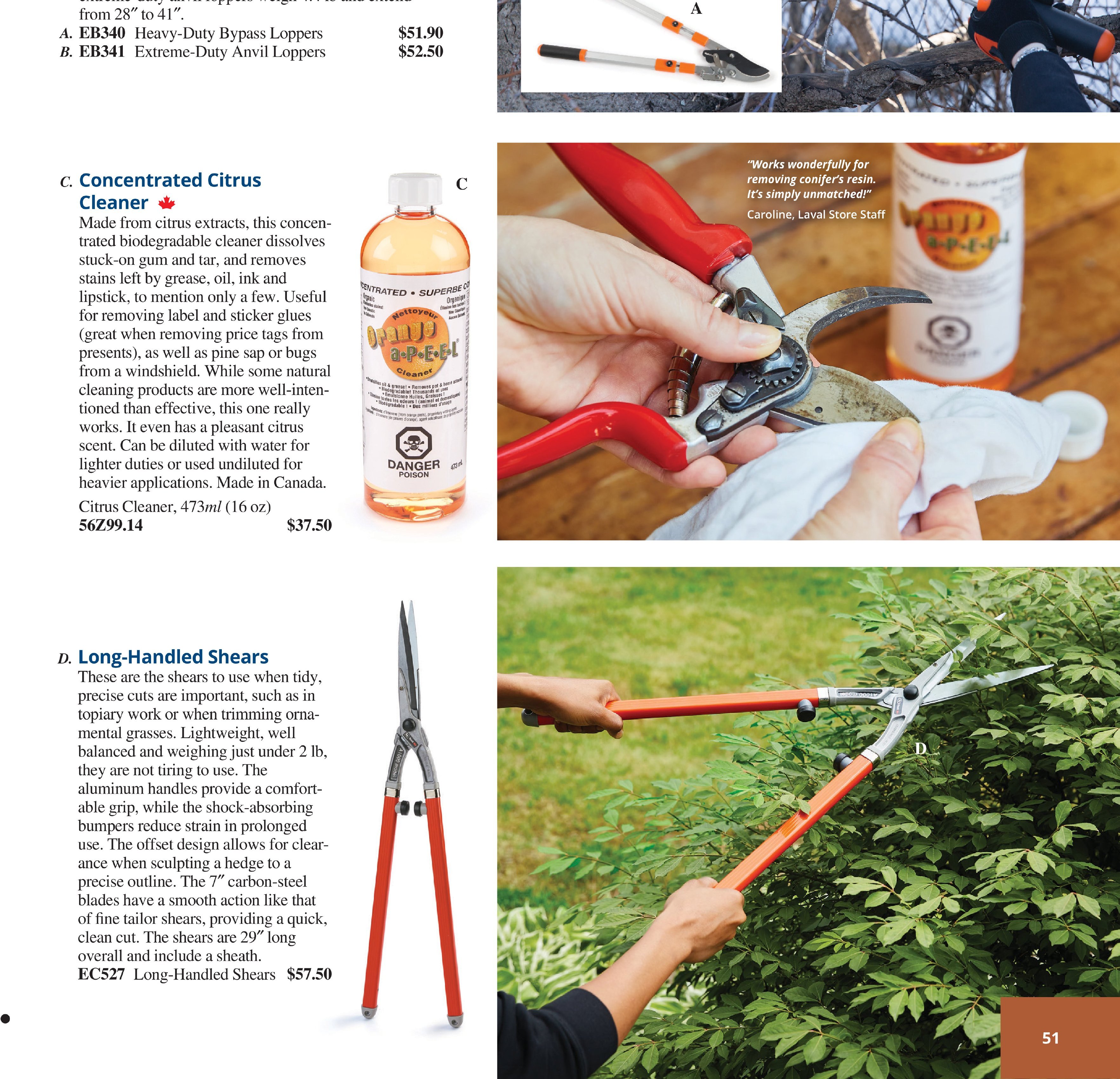 Flyer page 51