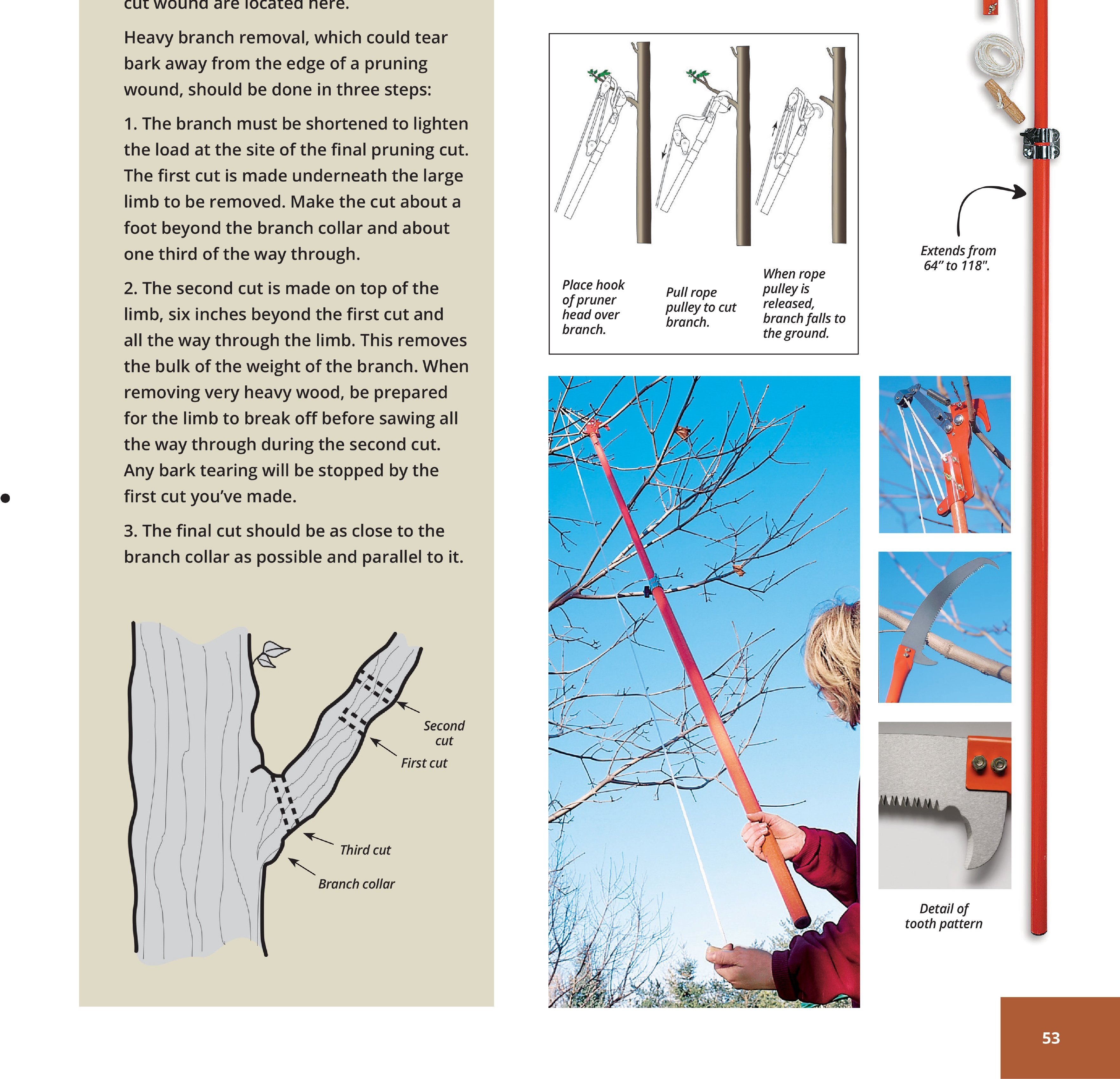 Flyer page 53