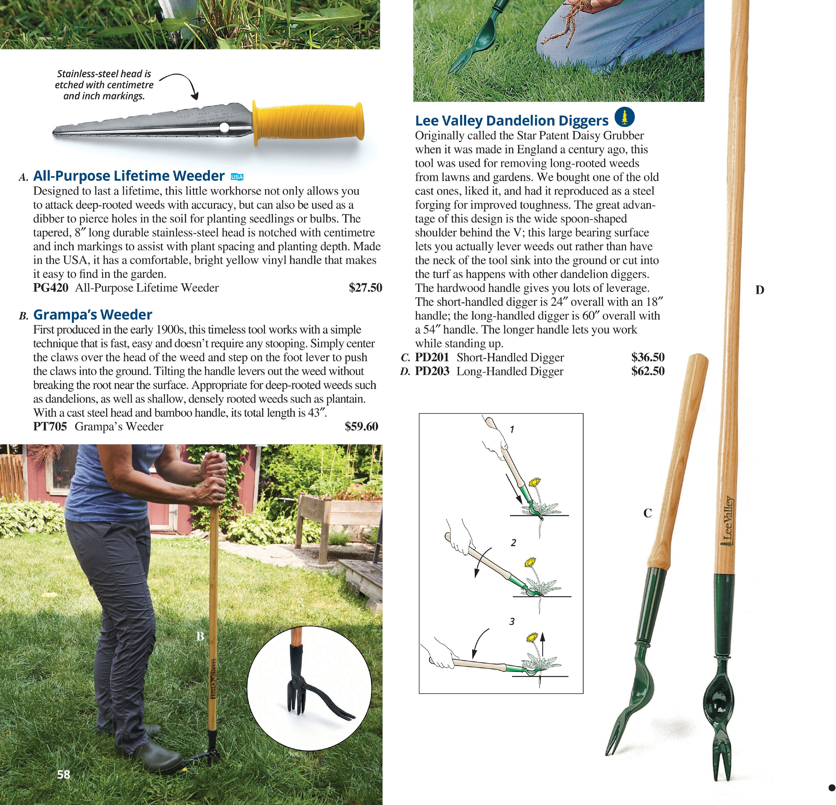 Flyer page 58