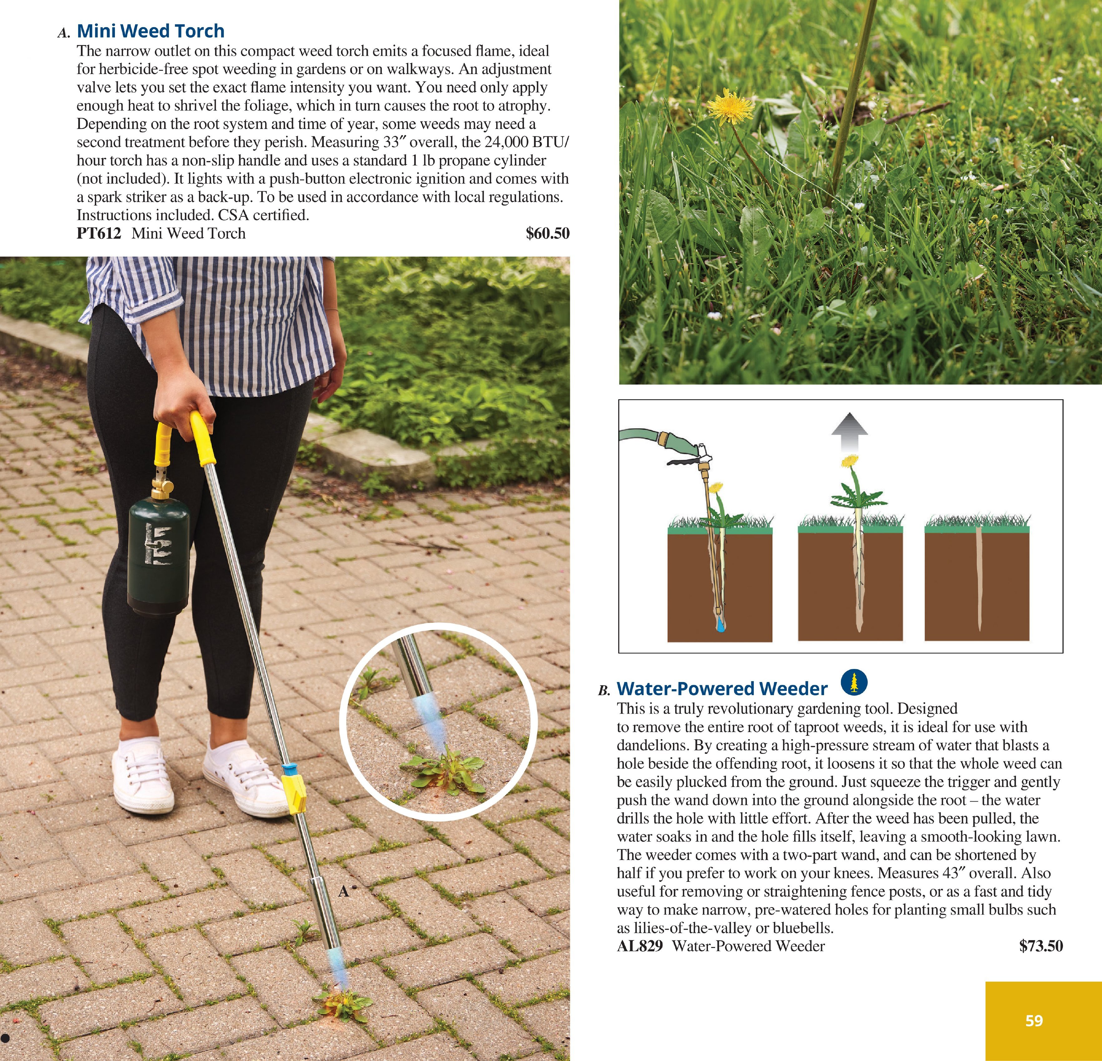 Flyer page 59