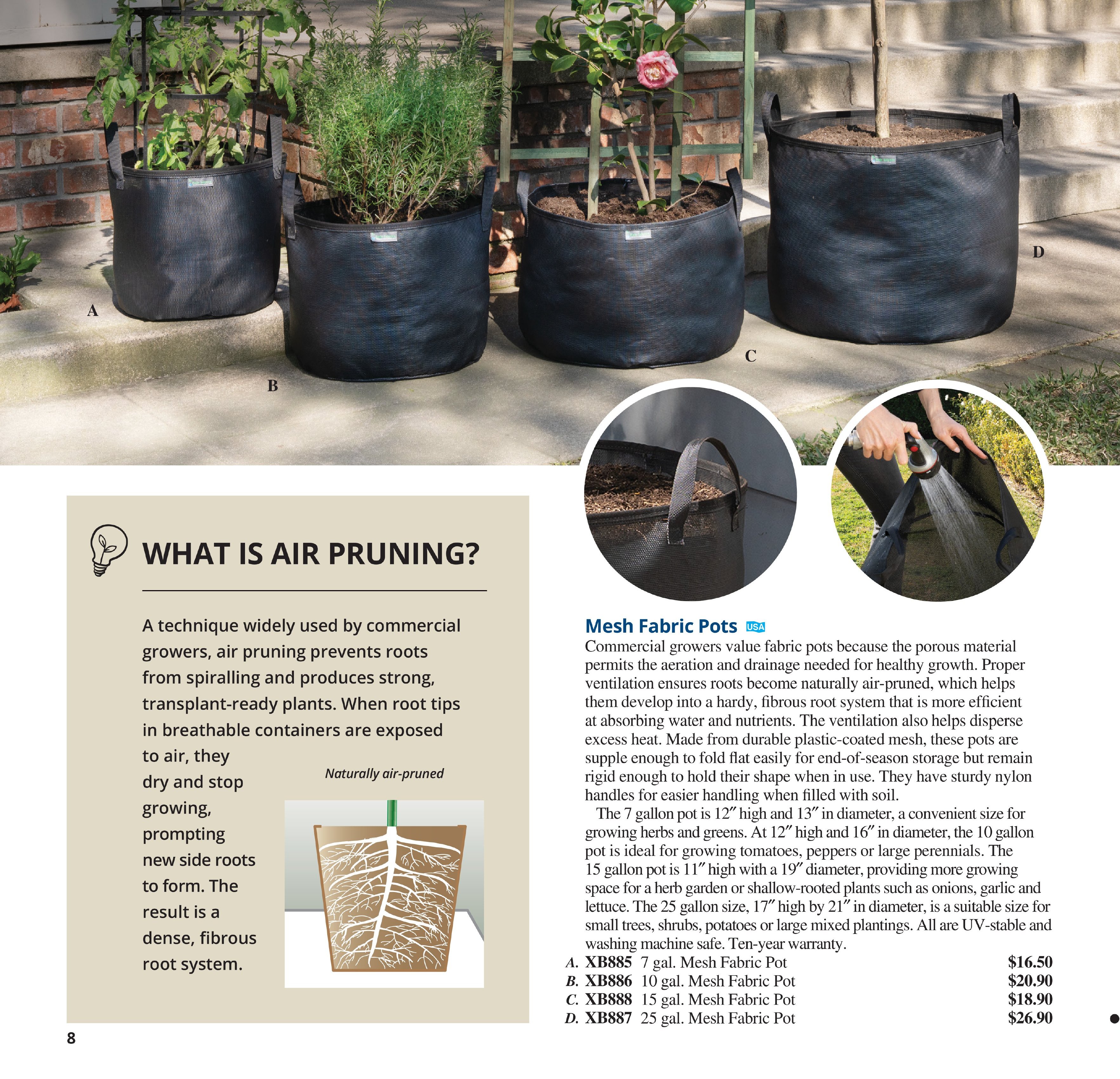 Flyer page 8