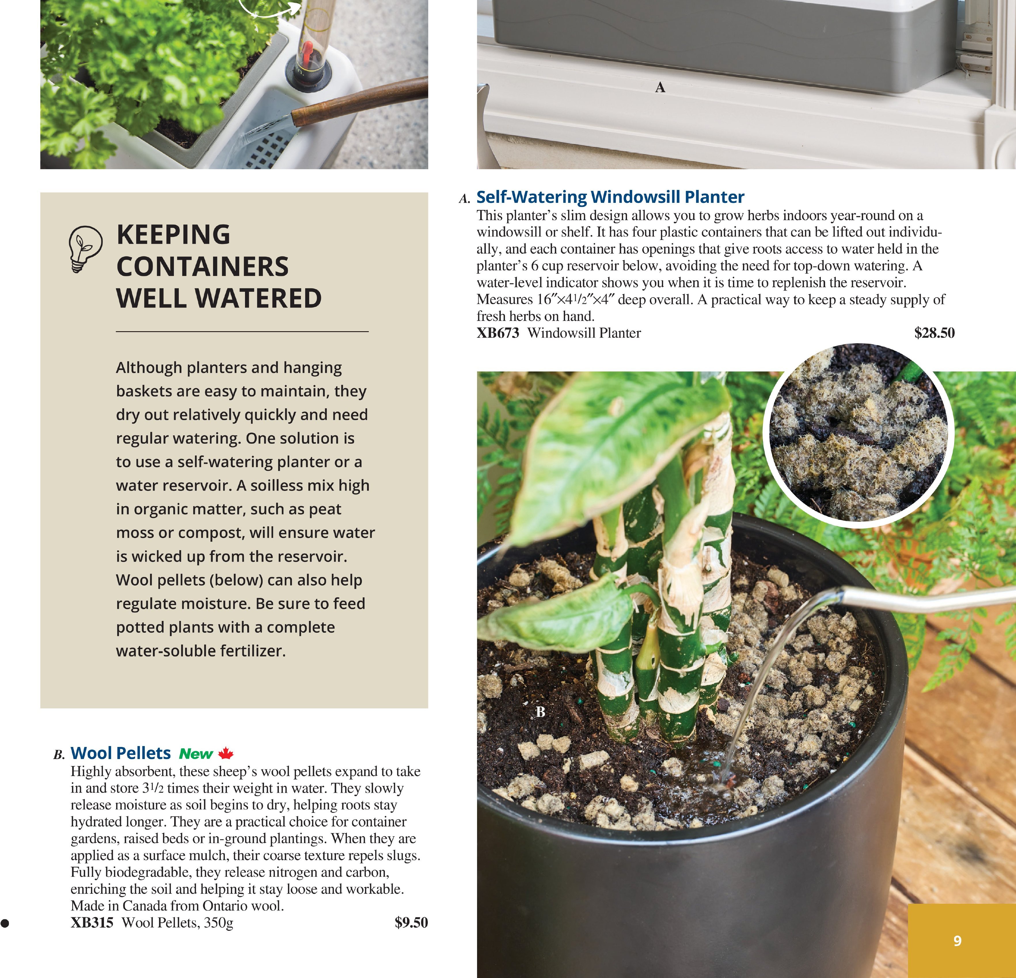 Flyer page 9
