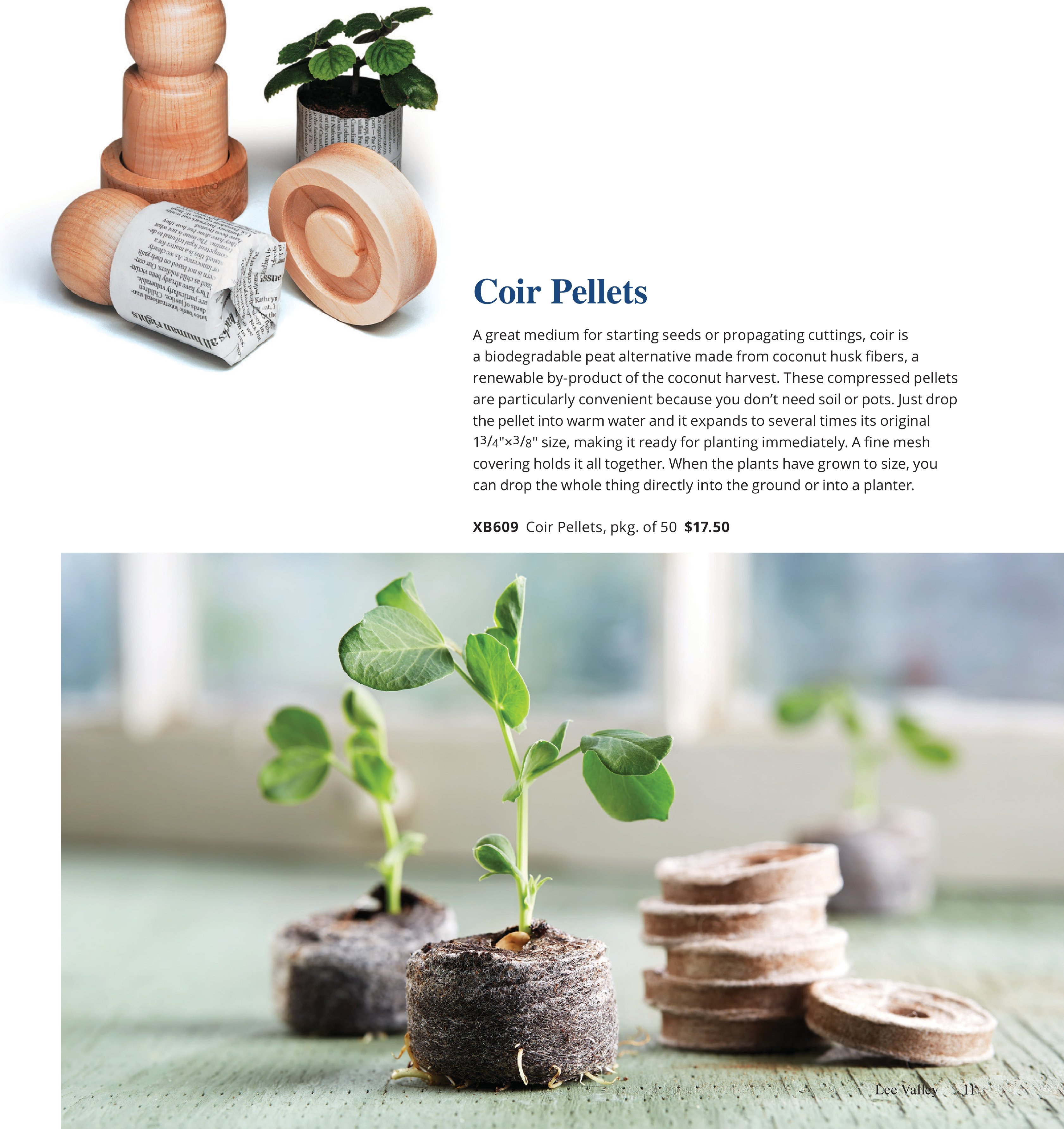 Flyer page 11