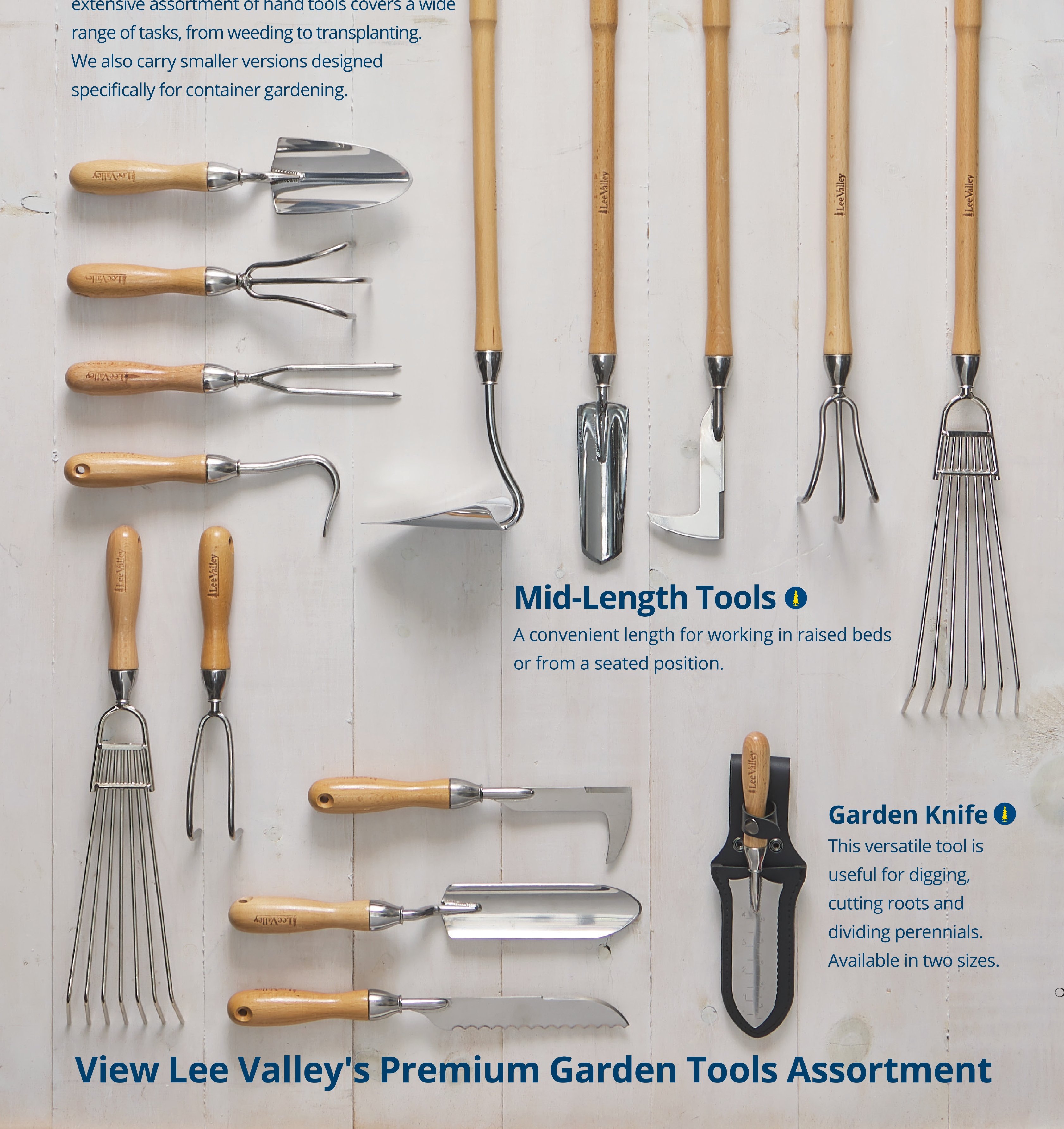 Flyer page 14