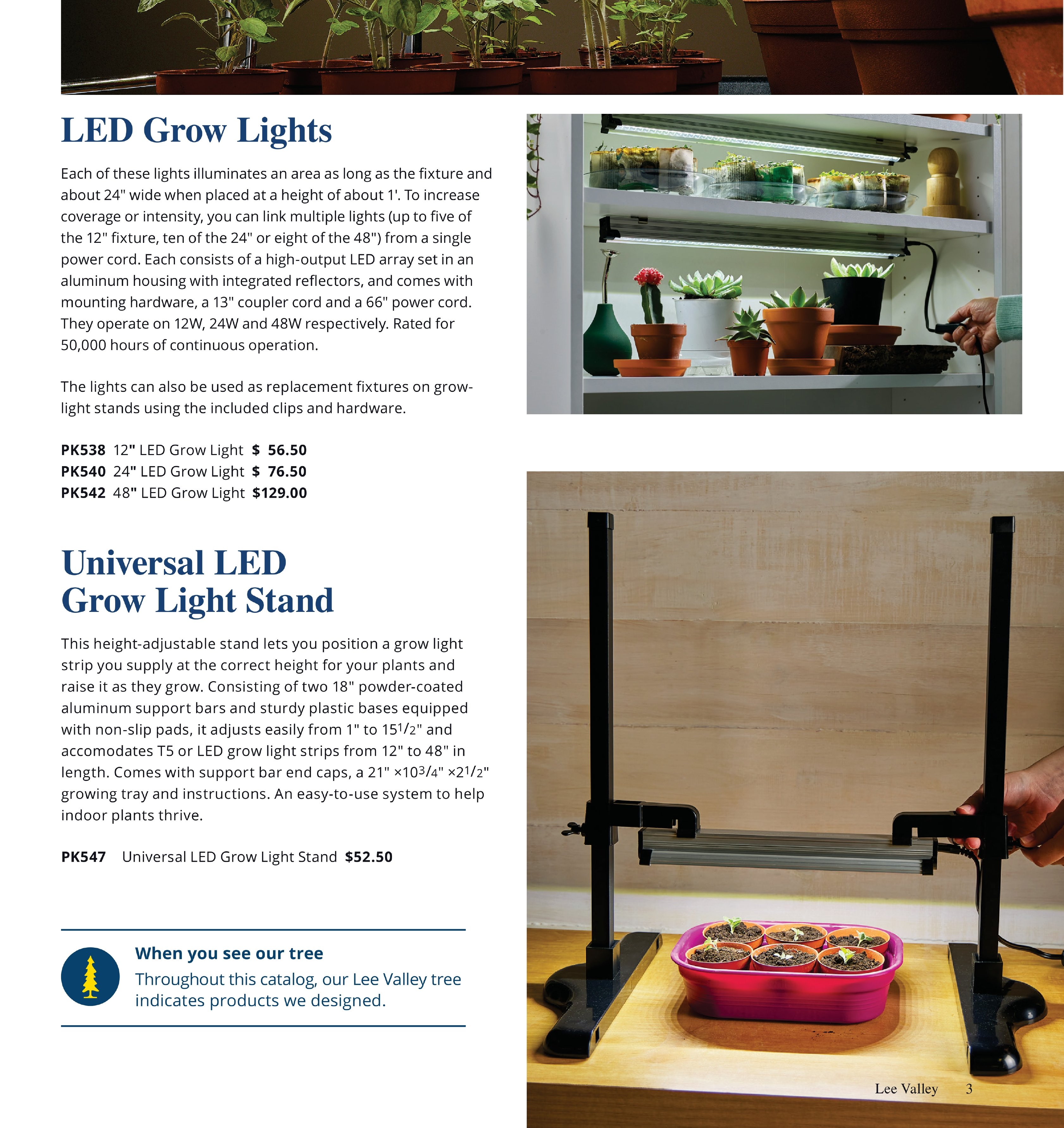 Flyer page 3
