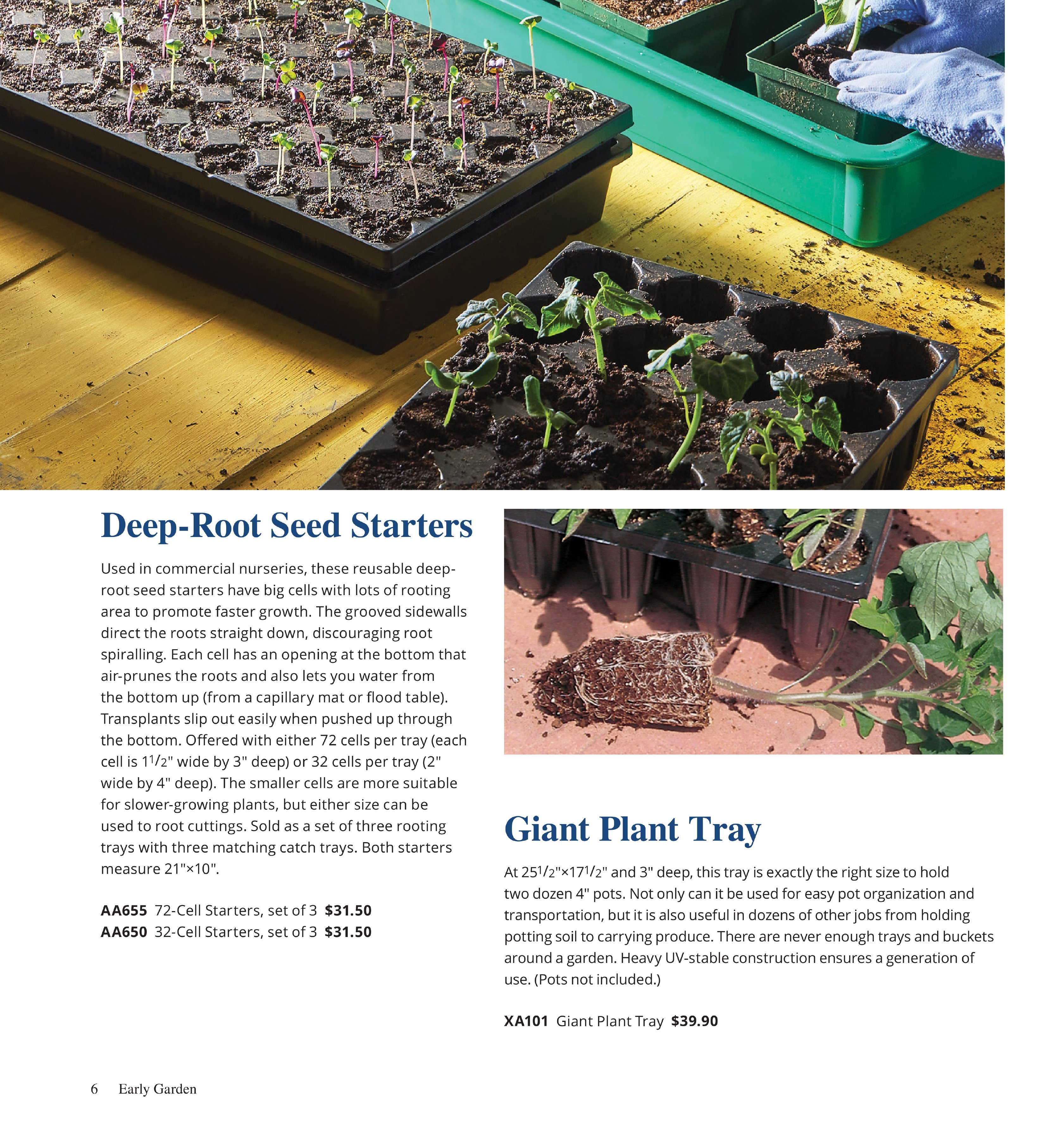 Flyer page 6