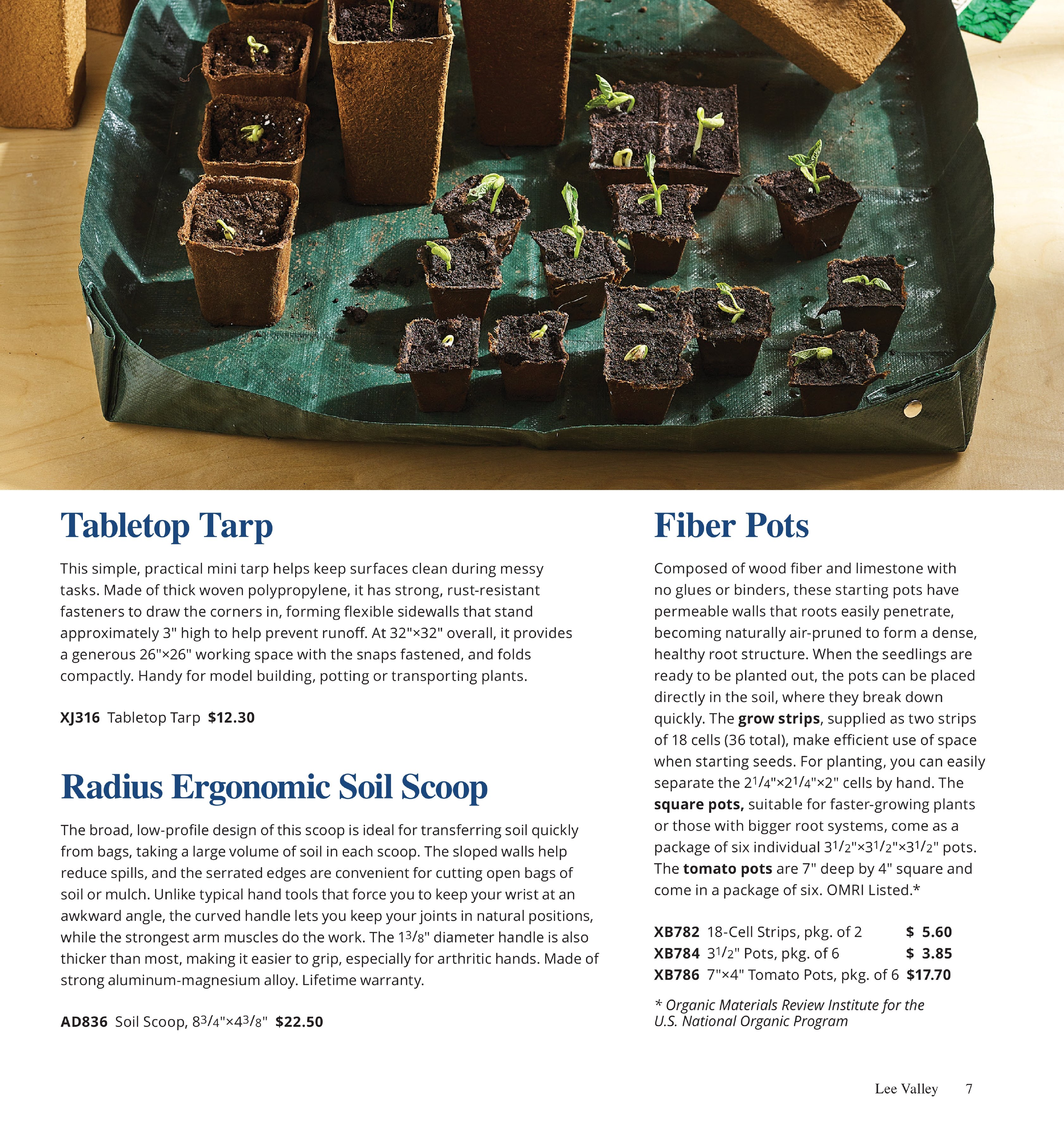 Flyer page 7