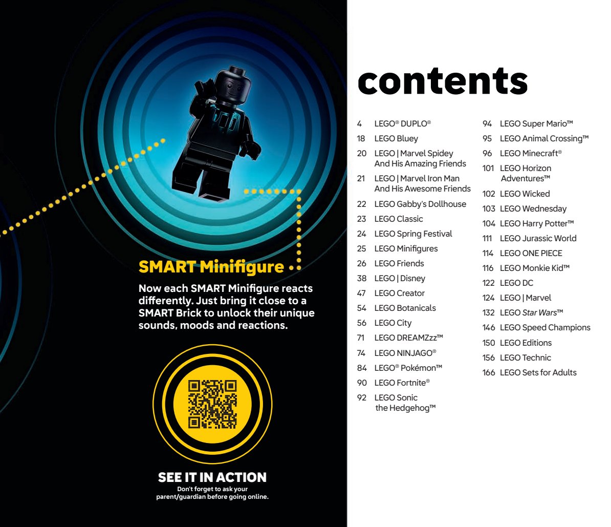Flyer page 3