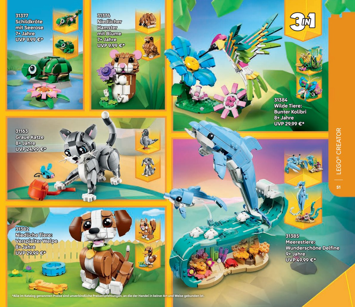 Flyer page 51