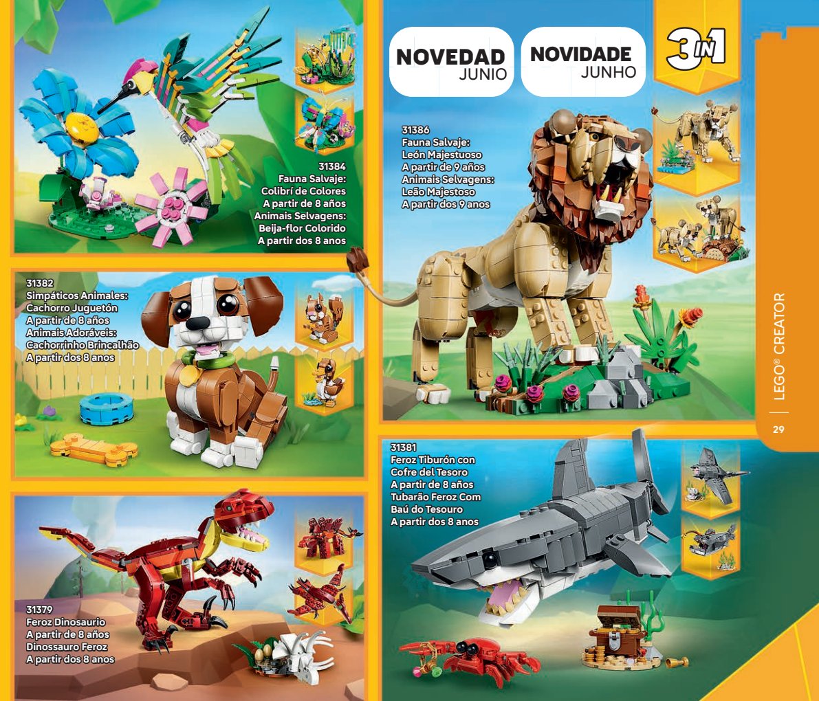Flyer page 29