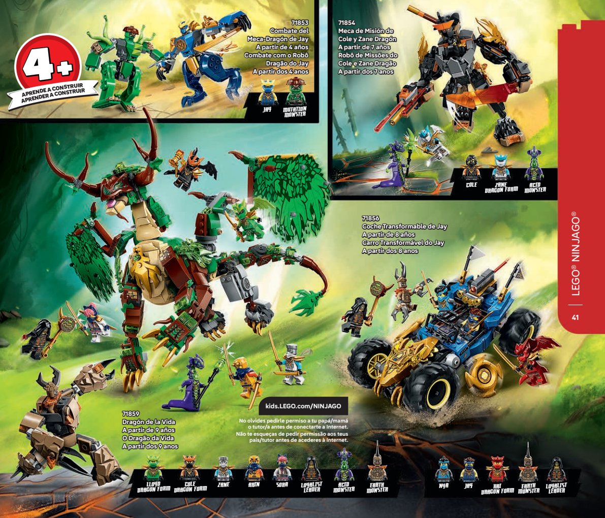Flyer page 41