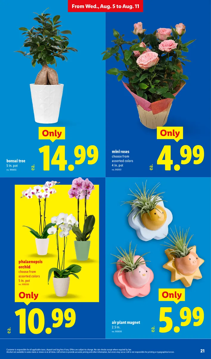 Flyer page 21