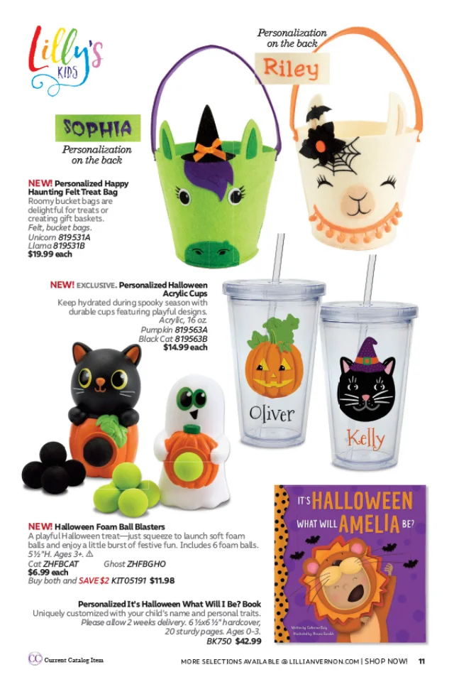Flyer page 11