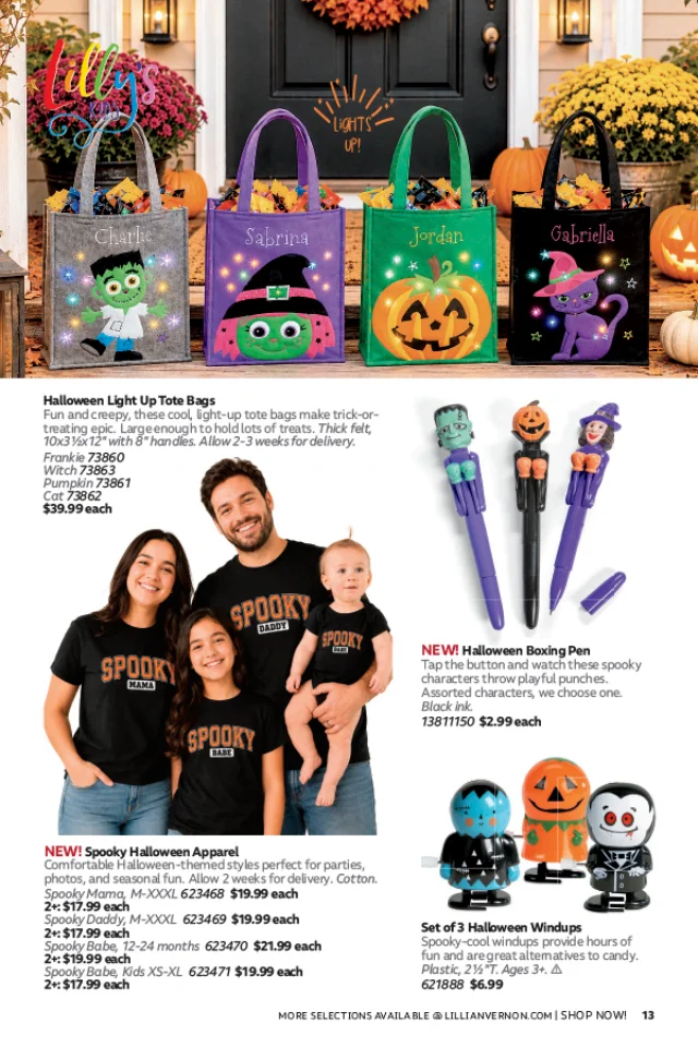 Flyer page 13