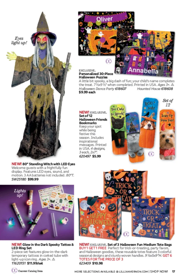 Flyer page 17