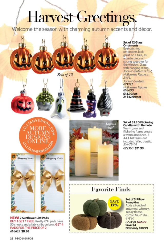 Flyer page 22