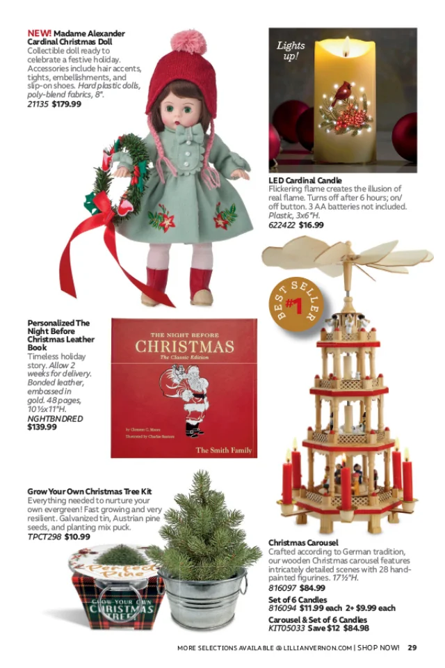 Flyer page 29
