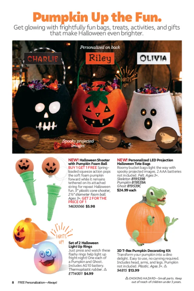 Flyer page 8