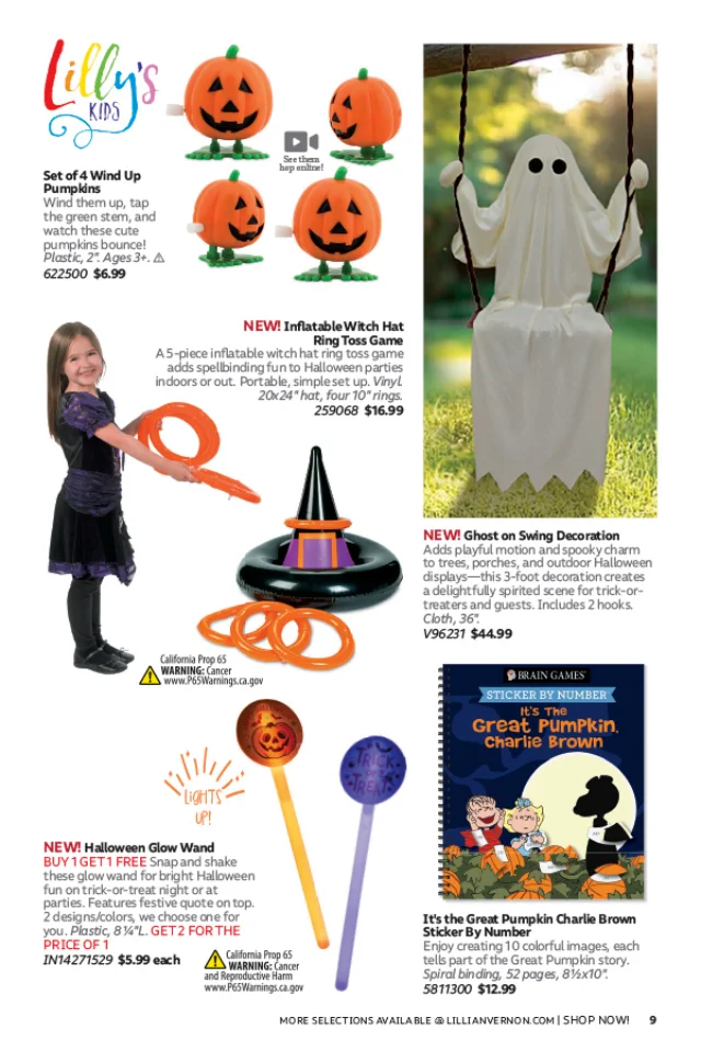Flyer page 9