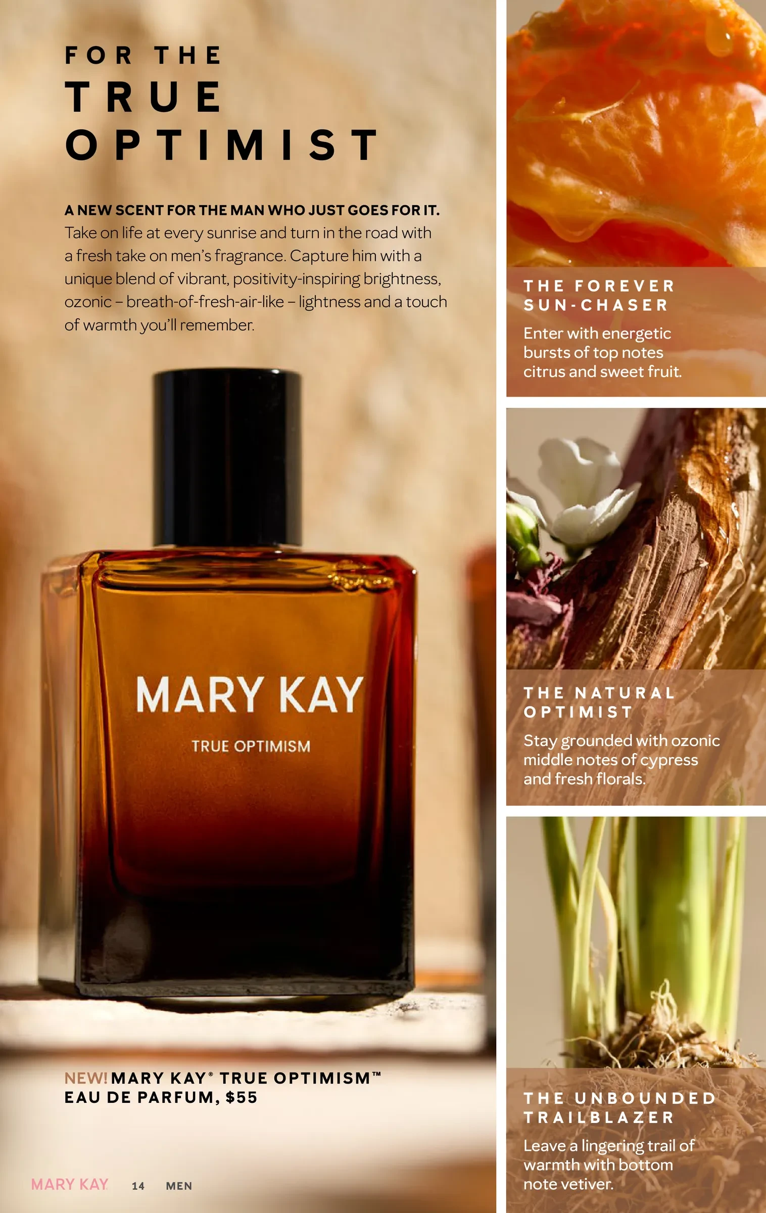 Flyer page 14