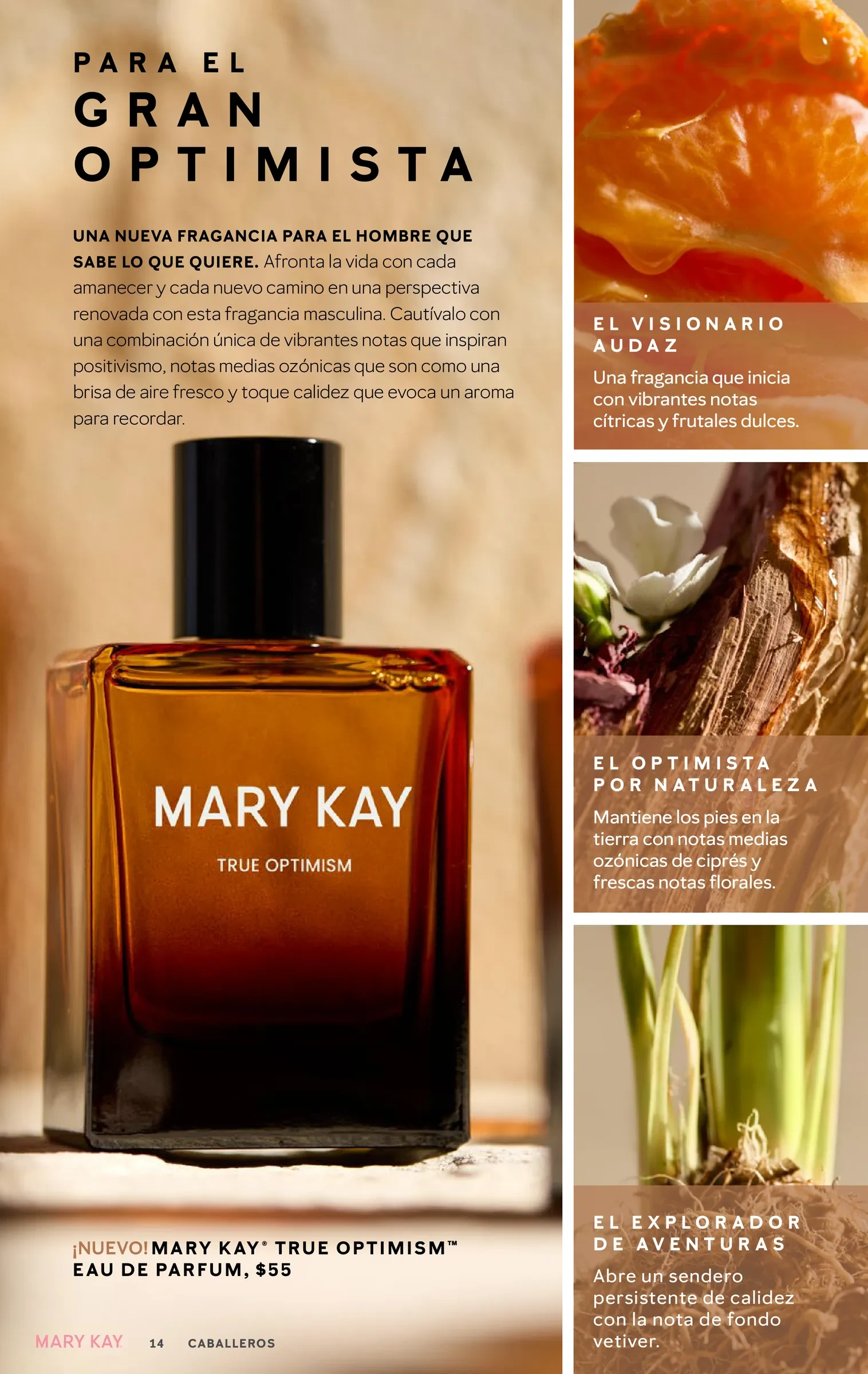 Flyer page 14