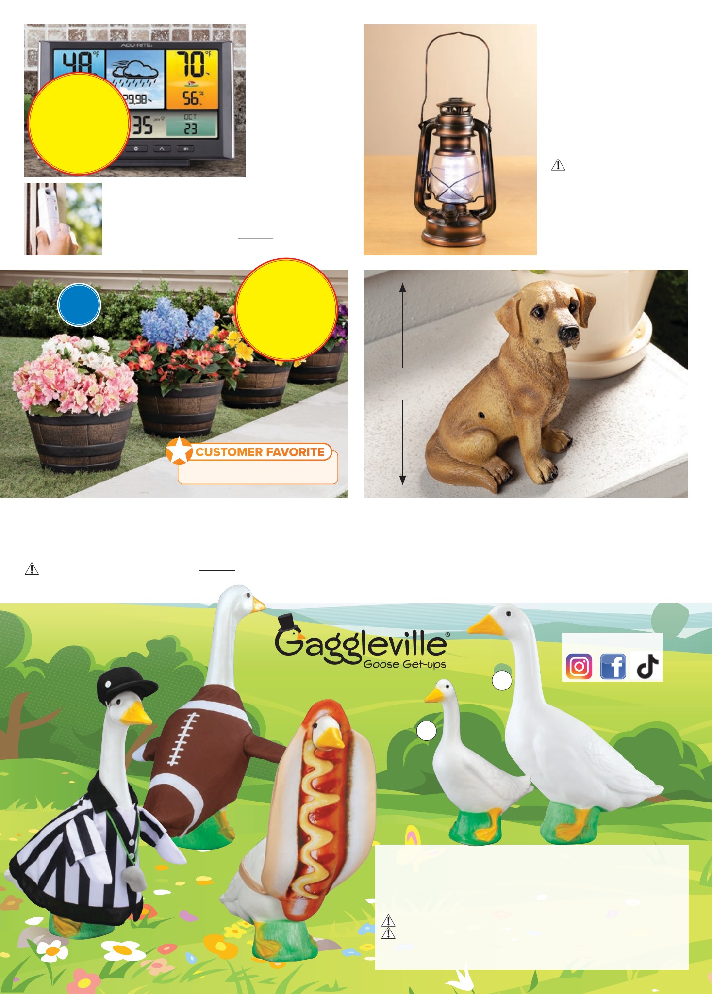 Flyer page 66