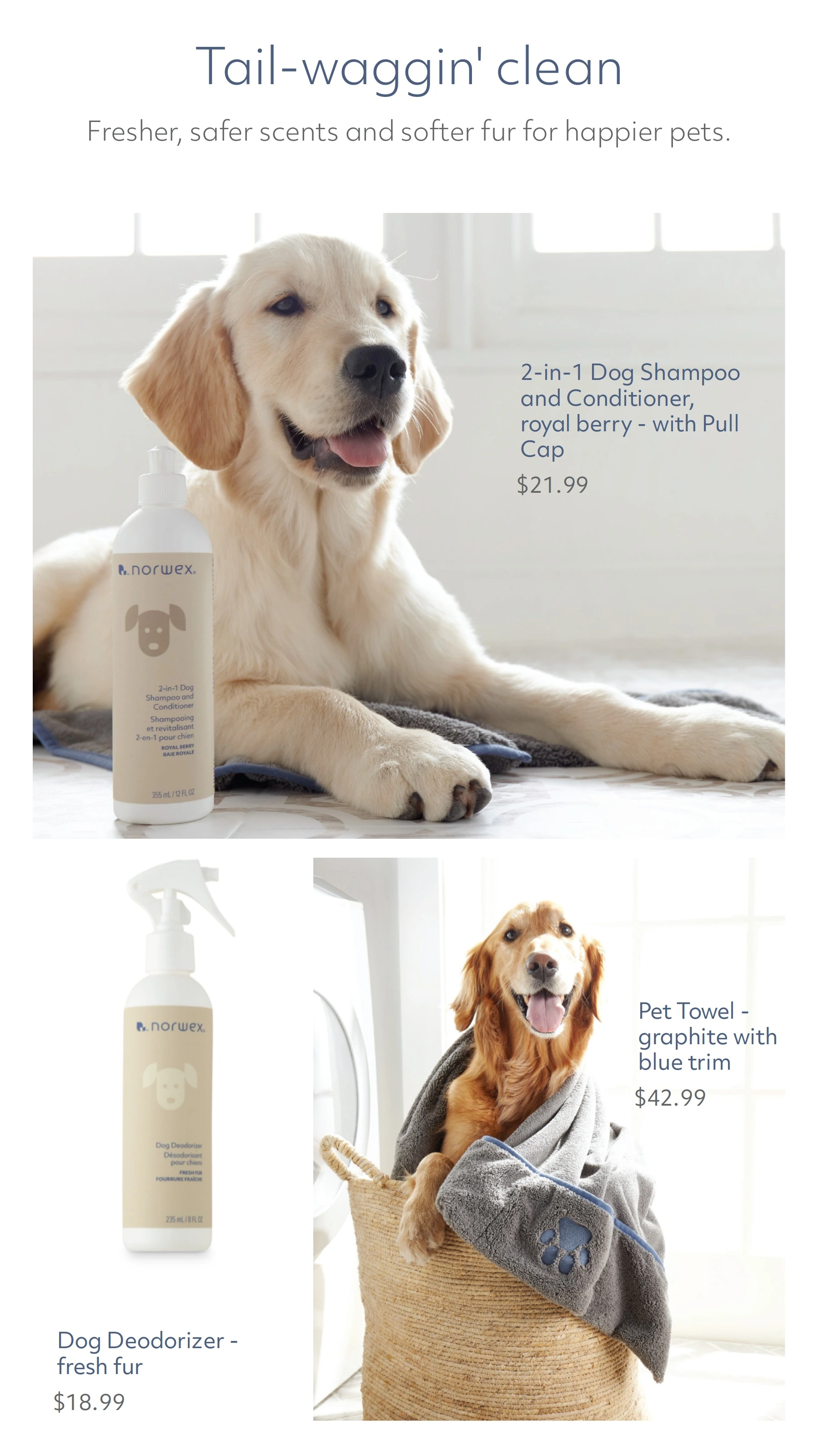 Flyer page 58