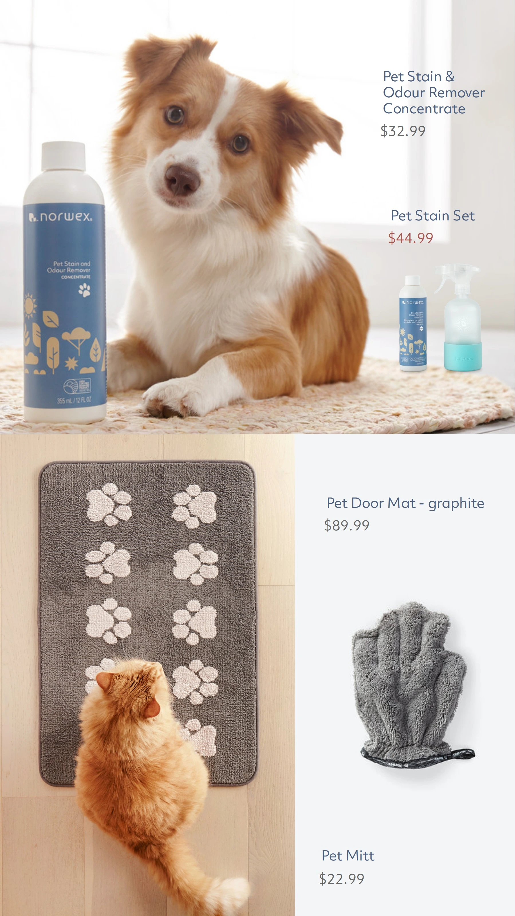 Flyer page 59