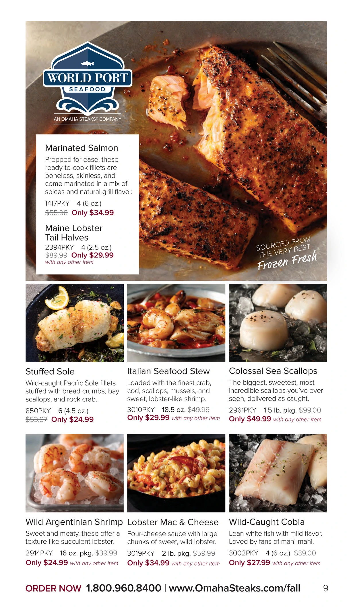 Flyer page 9