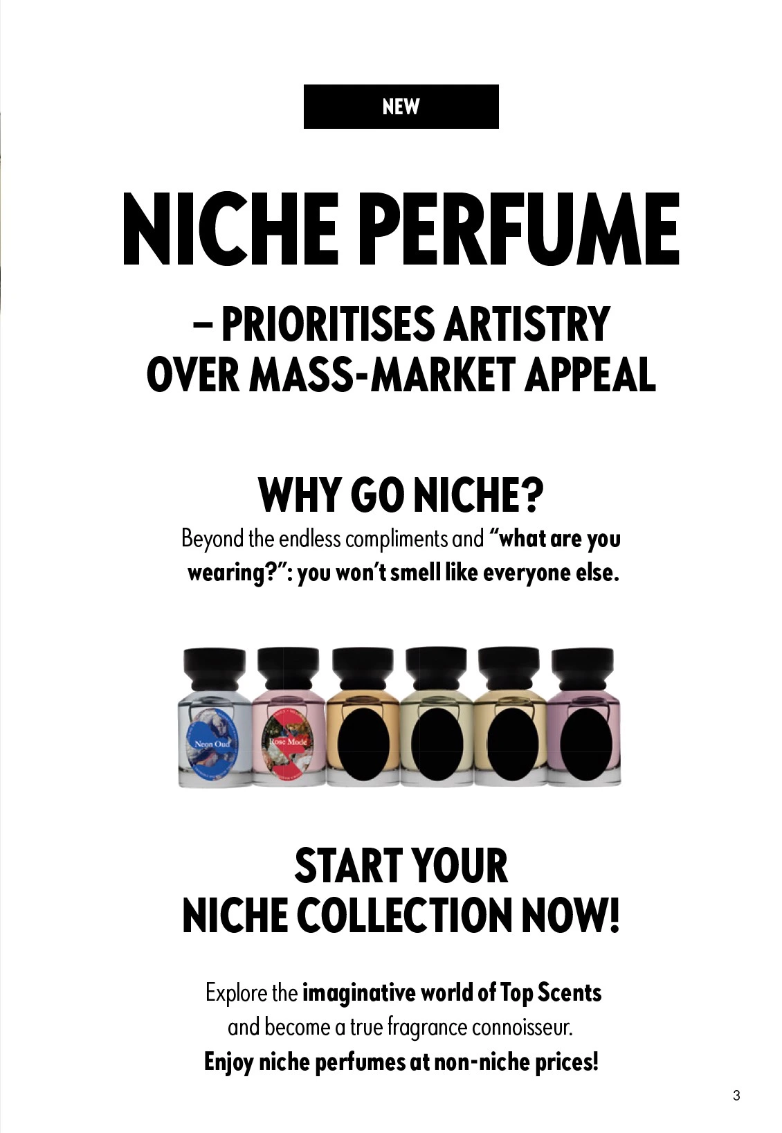 Flyer page 3