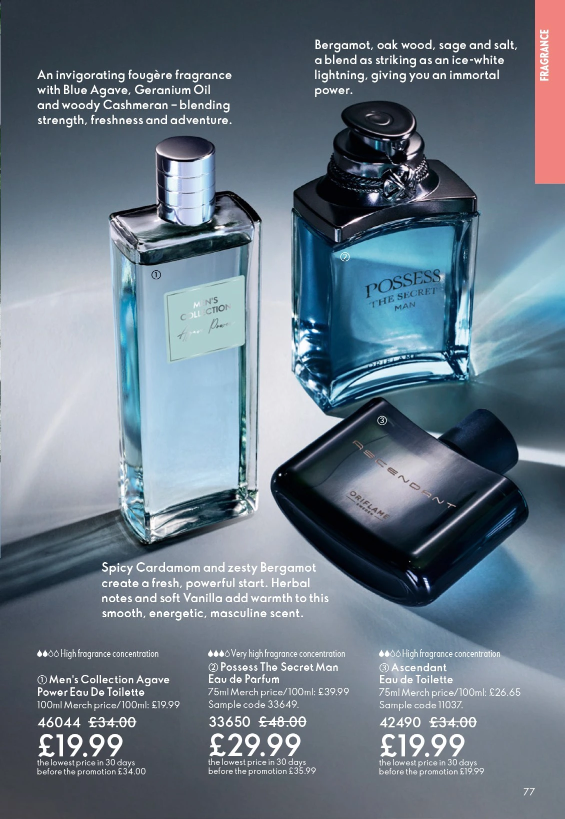 Flyer page 77