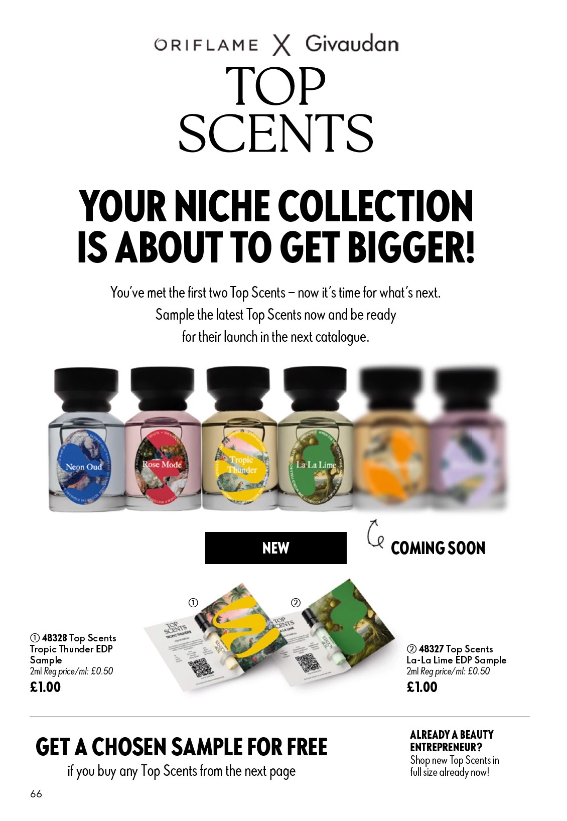 Flyer page 66