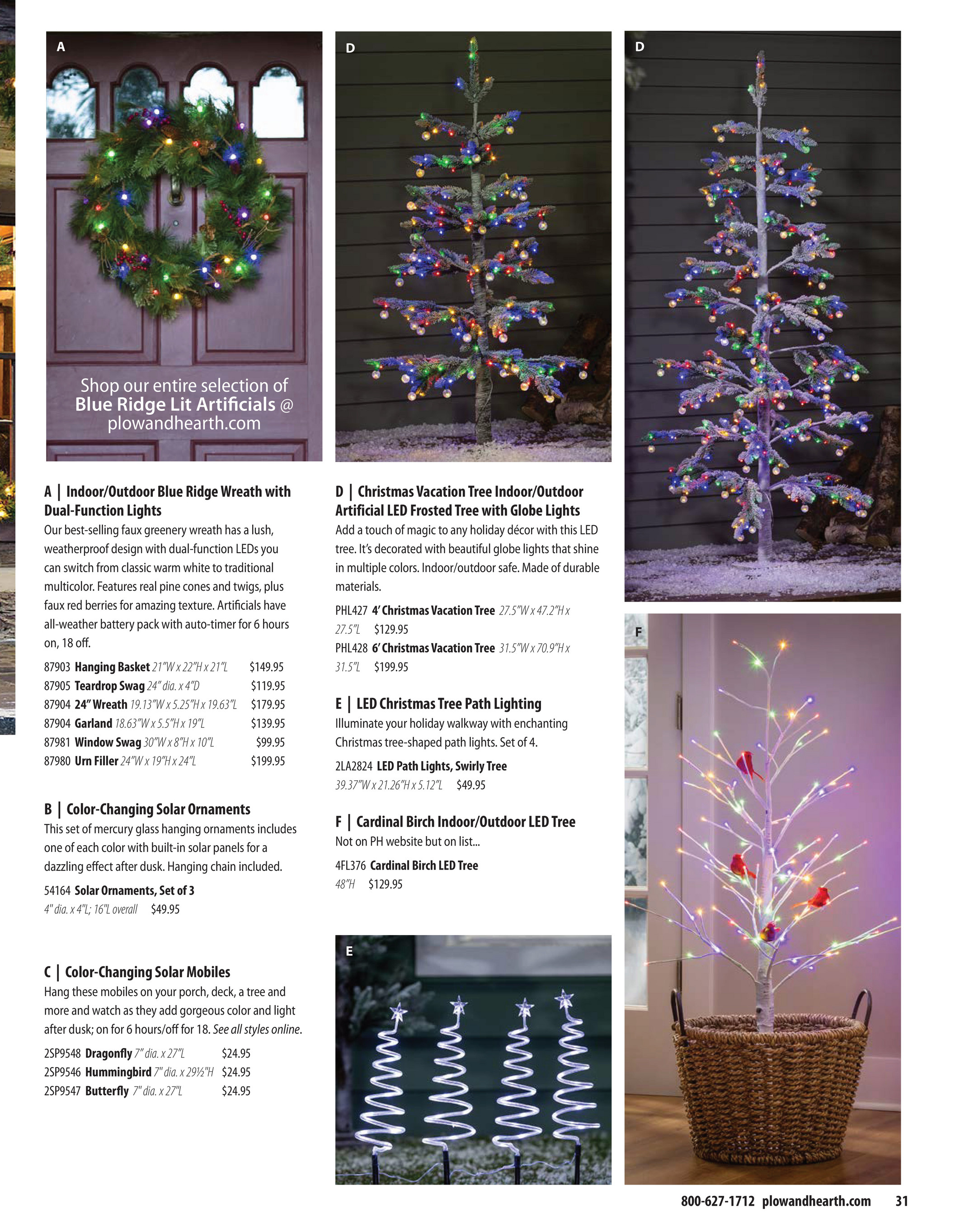 Flyer page 31