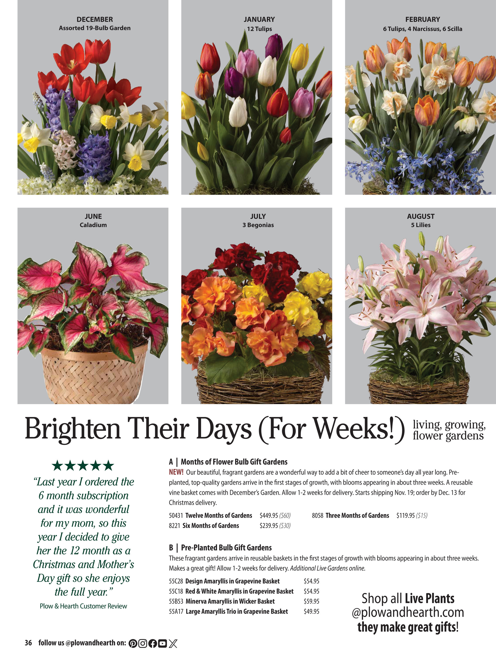 Flyer page 36