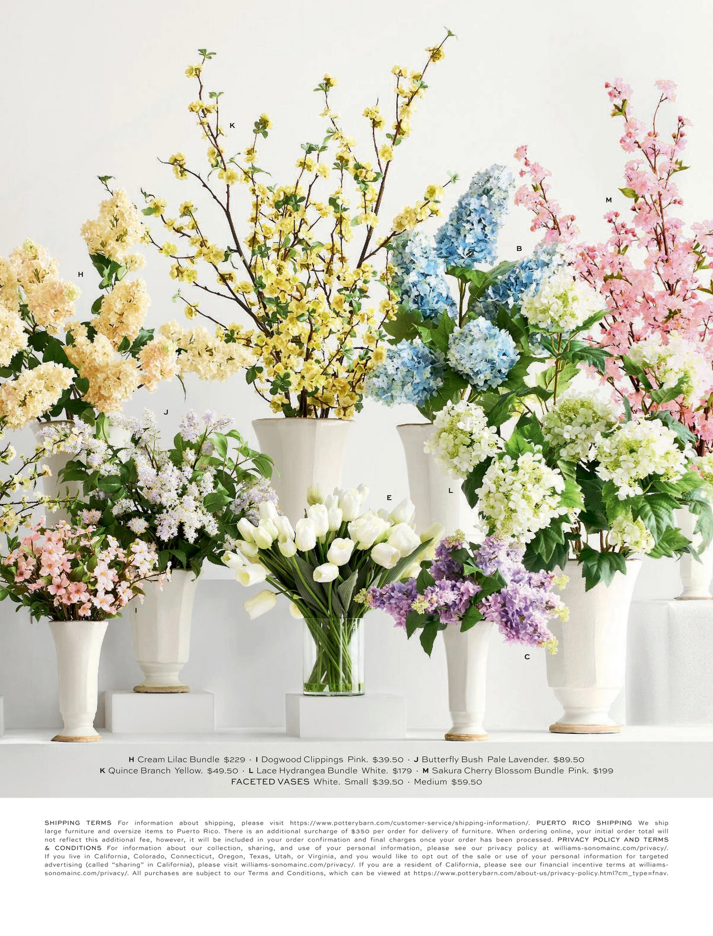 Flyer page 77