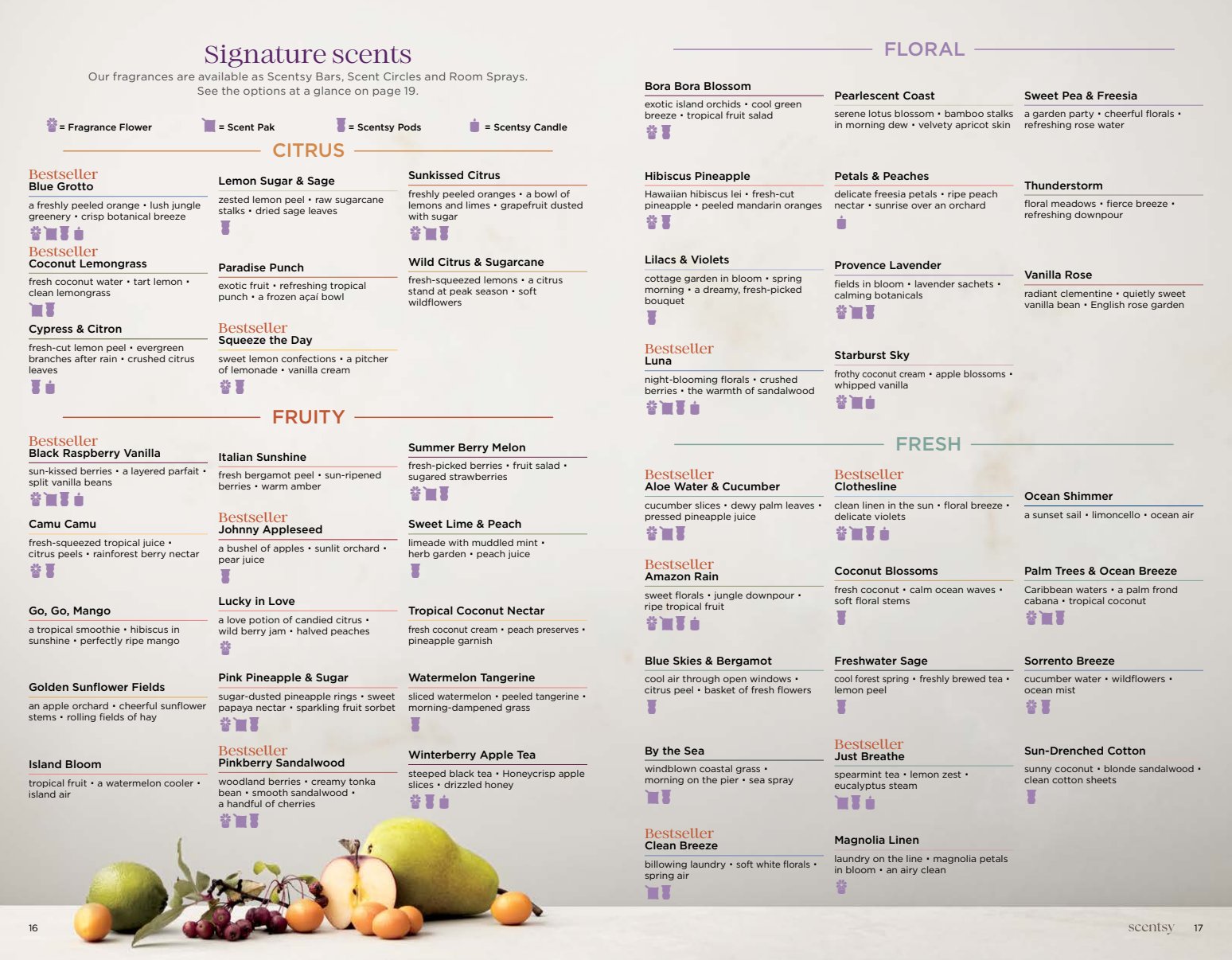 Flyer page 9